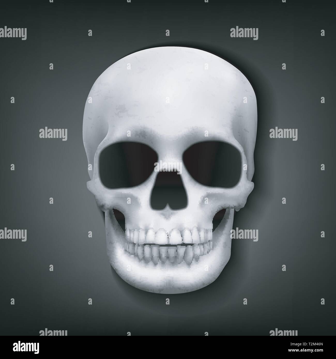 Realistische Schädel Kopf auf dunklem Hintergrund, Vector Illustration Stock Vektor