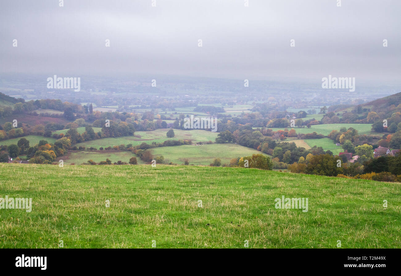 Landwirtschaftliche Flächen für Schafe weiden lassen ist an einem nebligen Tag im ländlichen Shropshire, England gesehen. Stockfoto
