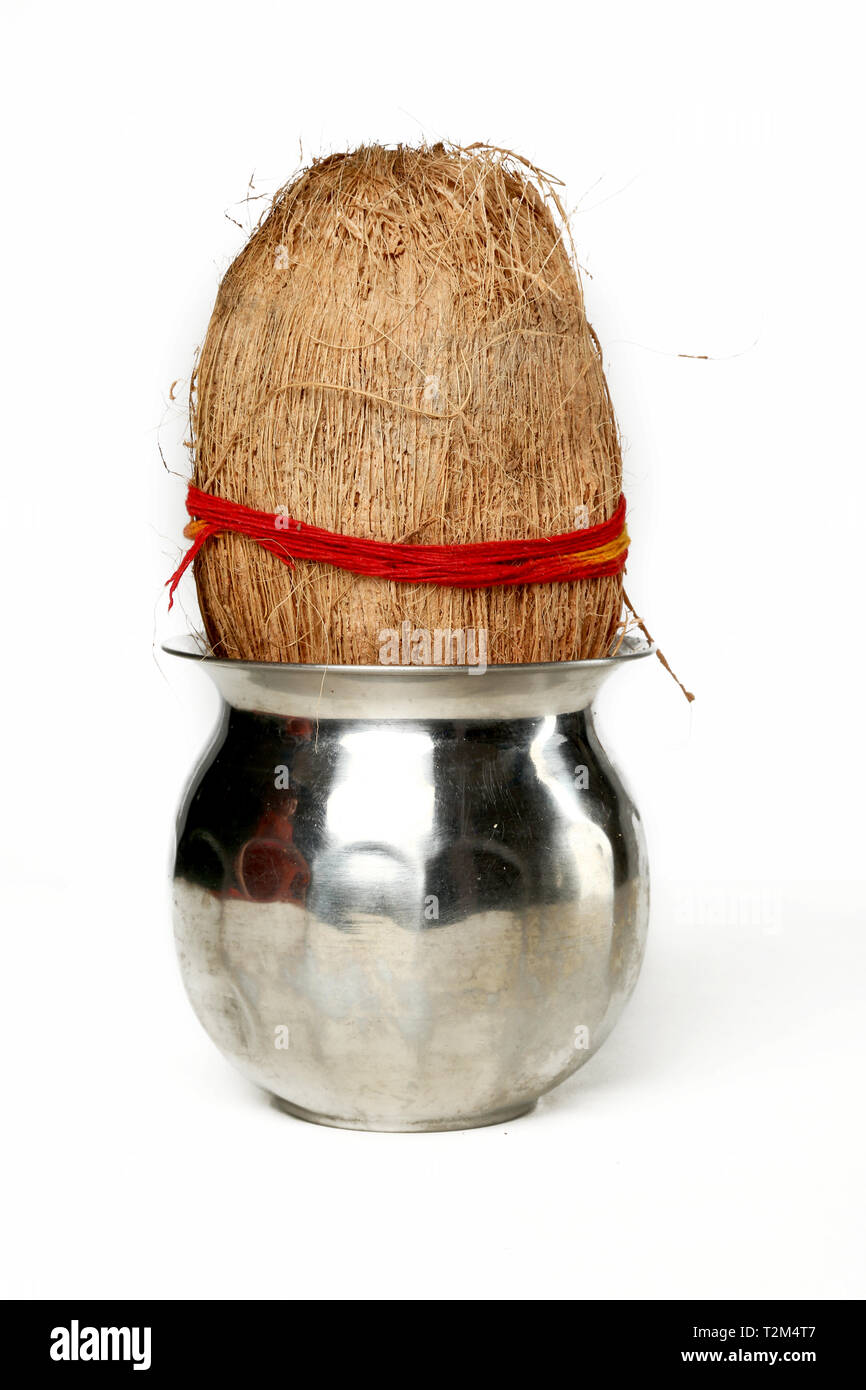 Kalash mit Kokosnuss für navratri Pooja. Auf den weißen Hintergrund isoliert. Stockfoto