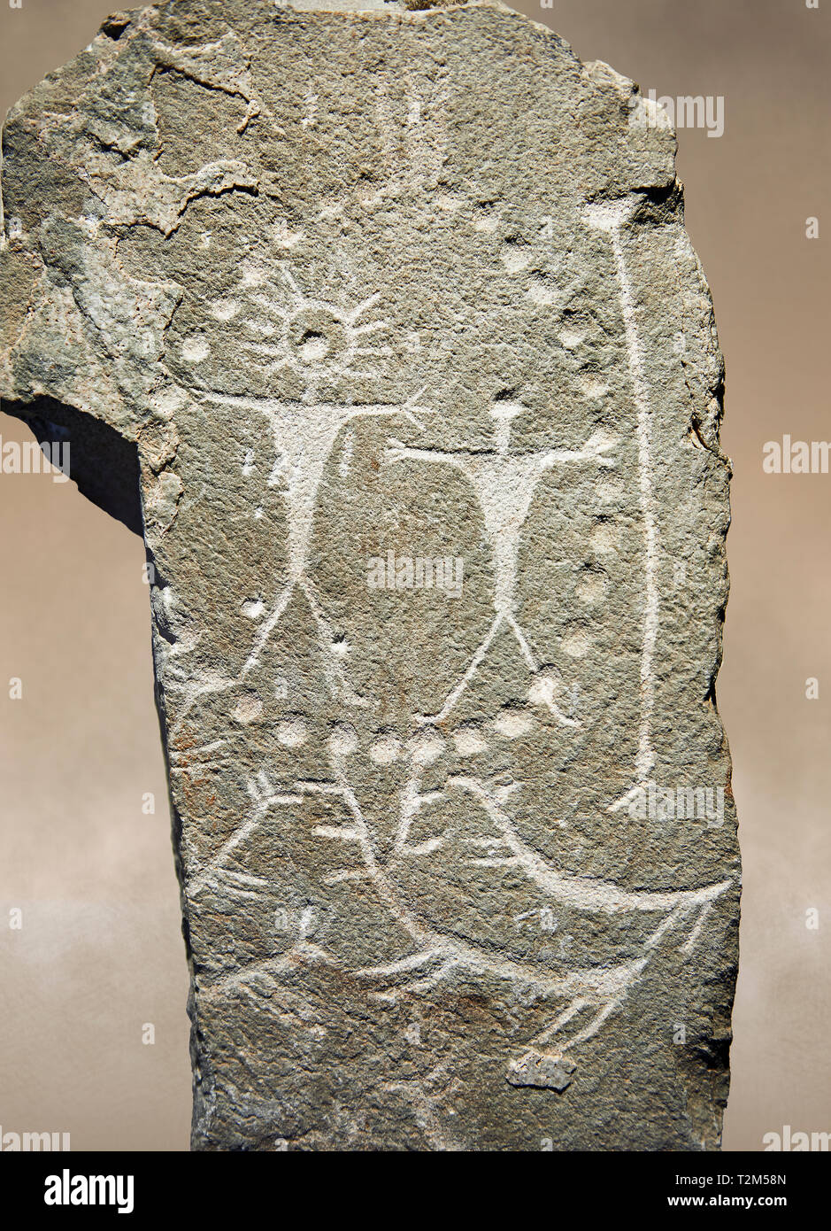 Prähistorische Petroglyphen, Felszeichnungen, der geometrische Muster, die von der prähistorischen Camuni Leute geschnitzt, Museum der Vorgeschichte im Val Camonica, Italien Stockfoto