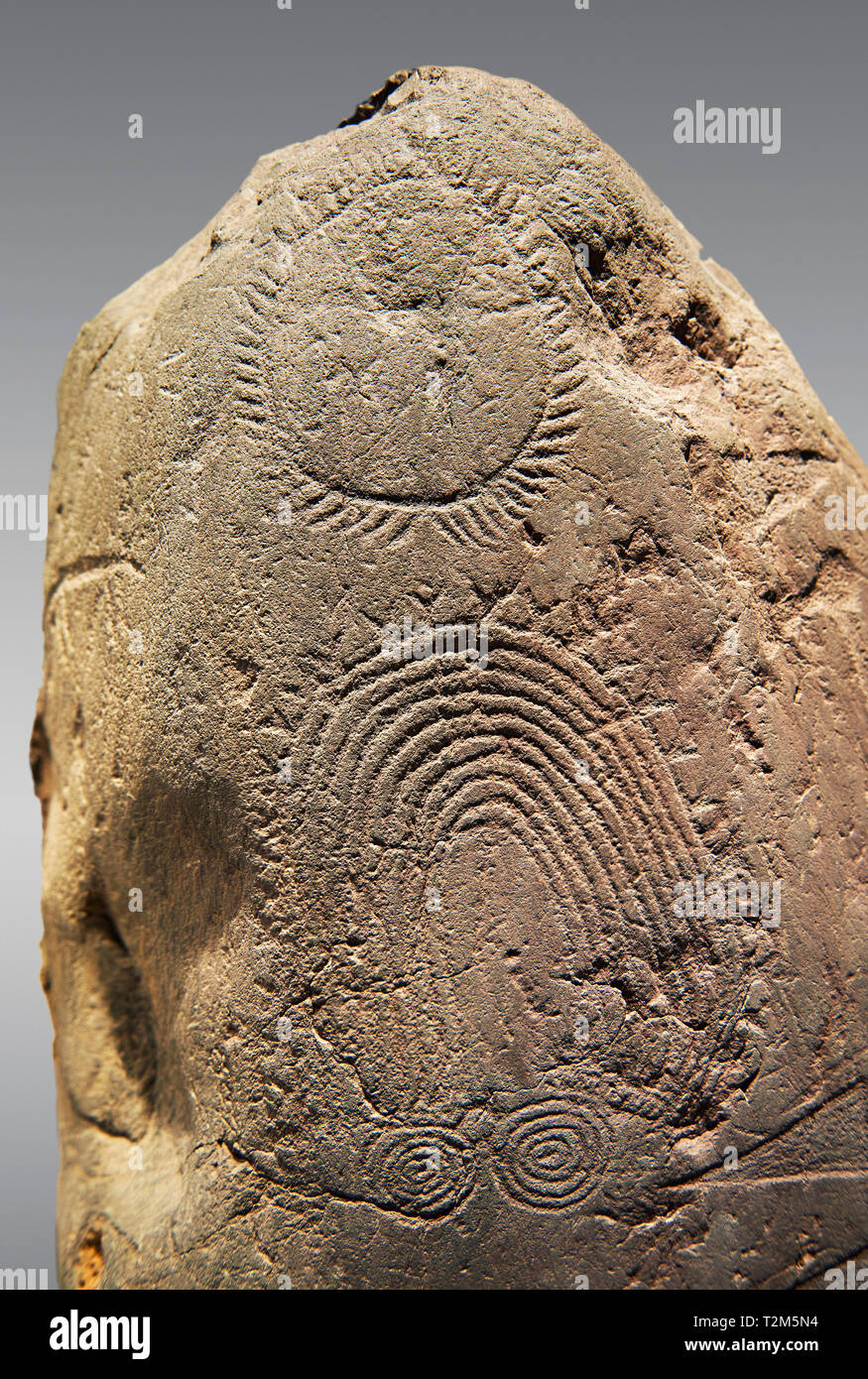 Prähistorische Petroglyphen, Felszeichnungen, der geometrische Muster, die von der prähistorischen Camuni Leute geschnitzt, Museum der Vorgeschichte im Val Camonica, Italien Stockfoto