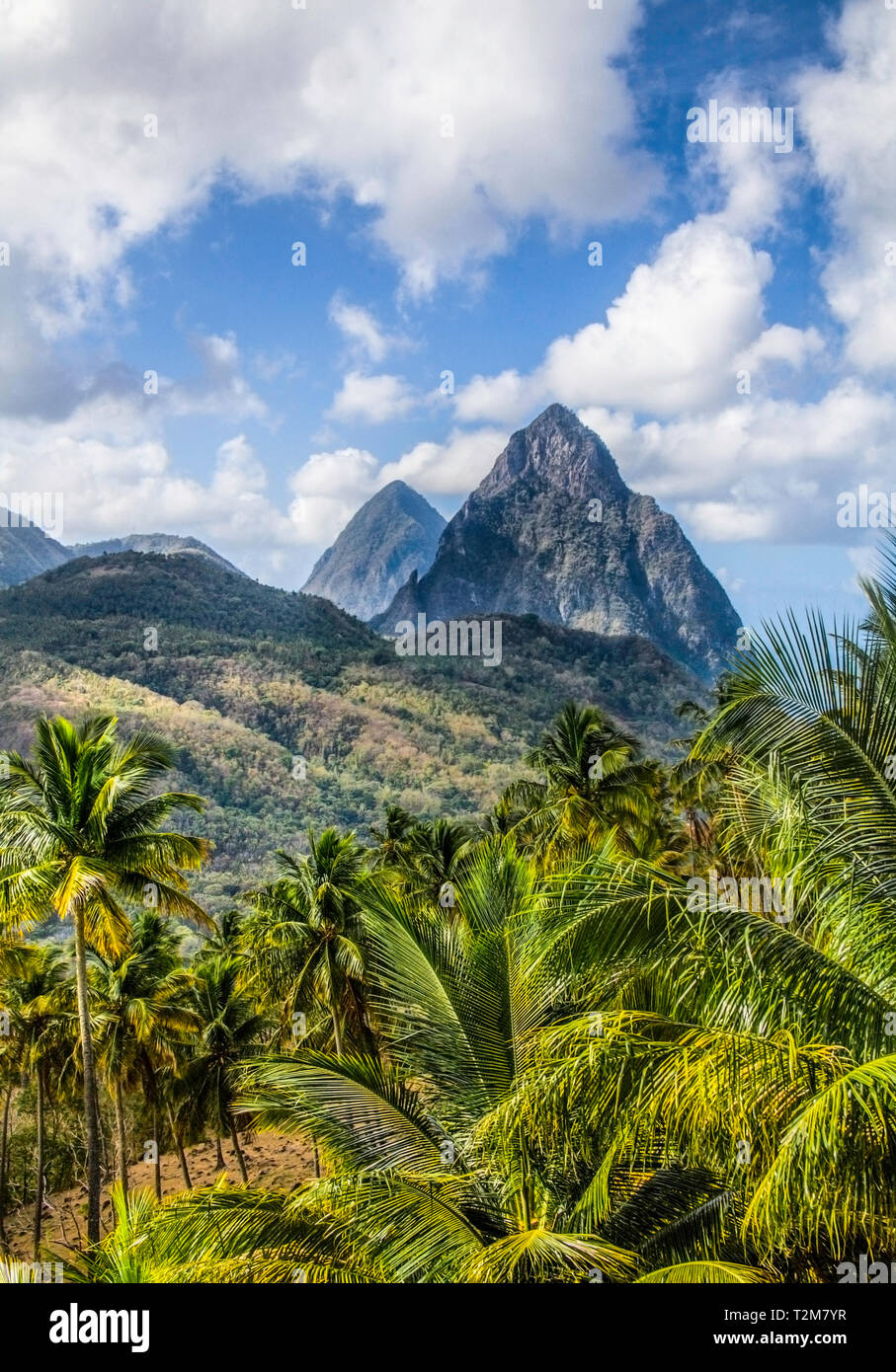 Die Pitons sind zwei Bergigen vulkanischen Stopfen, in Saint Lucia. Gros Piton ist 771 m hoch, und Petit Piton ist 743 m hoch; diese Spitzen sind eine Wor Stockfoto