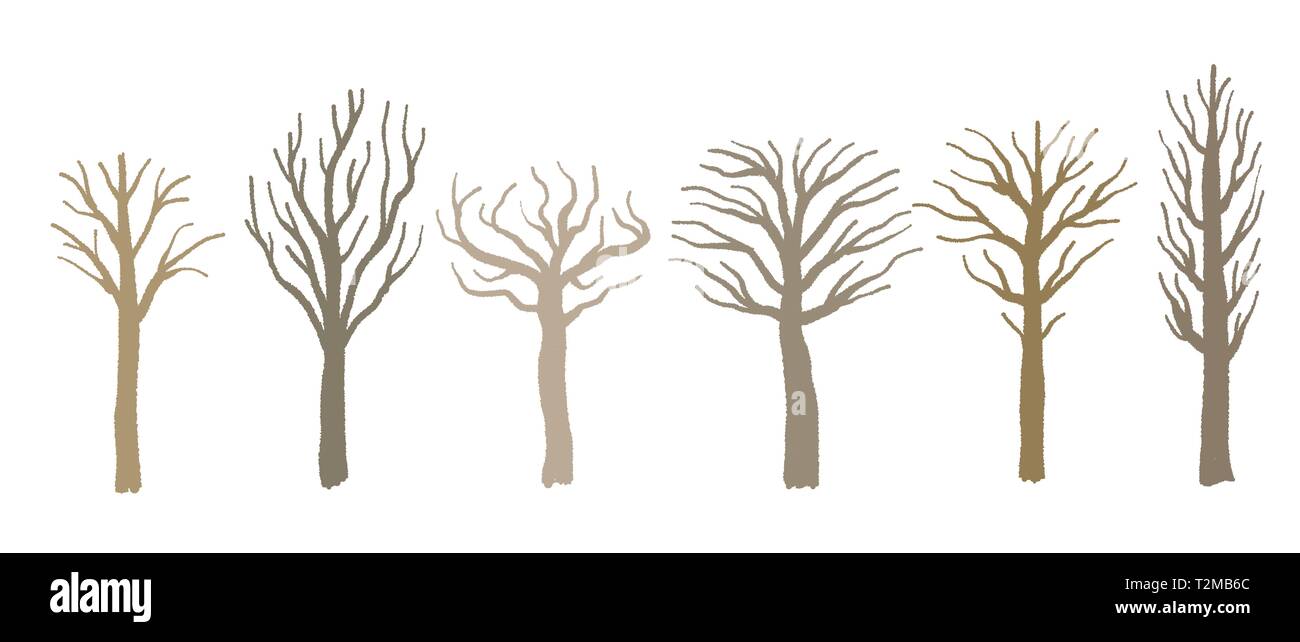 Toter Baum Form Set Vektor Baum Silhouette Illustration Collection Stock Vektorgrafik Alamy