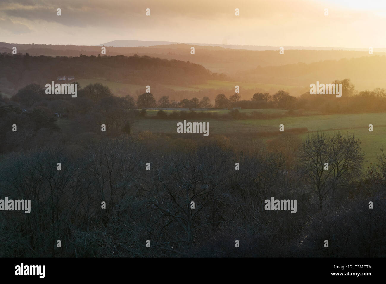 Die Surrey Hills in der Nähe von Dorking, Großbritannien Stockfoto