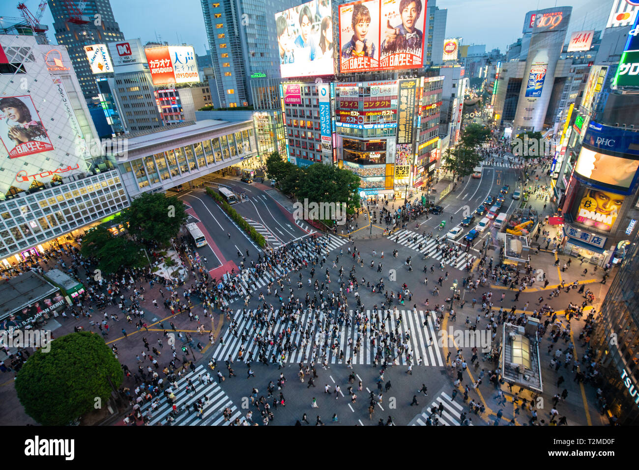 TOKYO, Japan - 16. MAI 2018: Fußgänger an zebrastreifen Stadtteil Shibuya in Tokio, Japan. Shibuya Crossing ist einer der verkehrsreichsten Fussgängerstreifen in der Welt Stockfoto