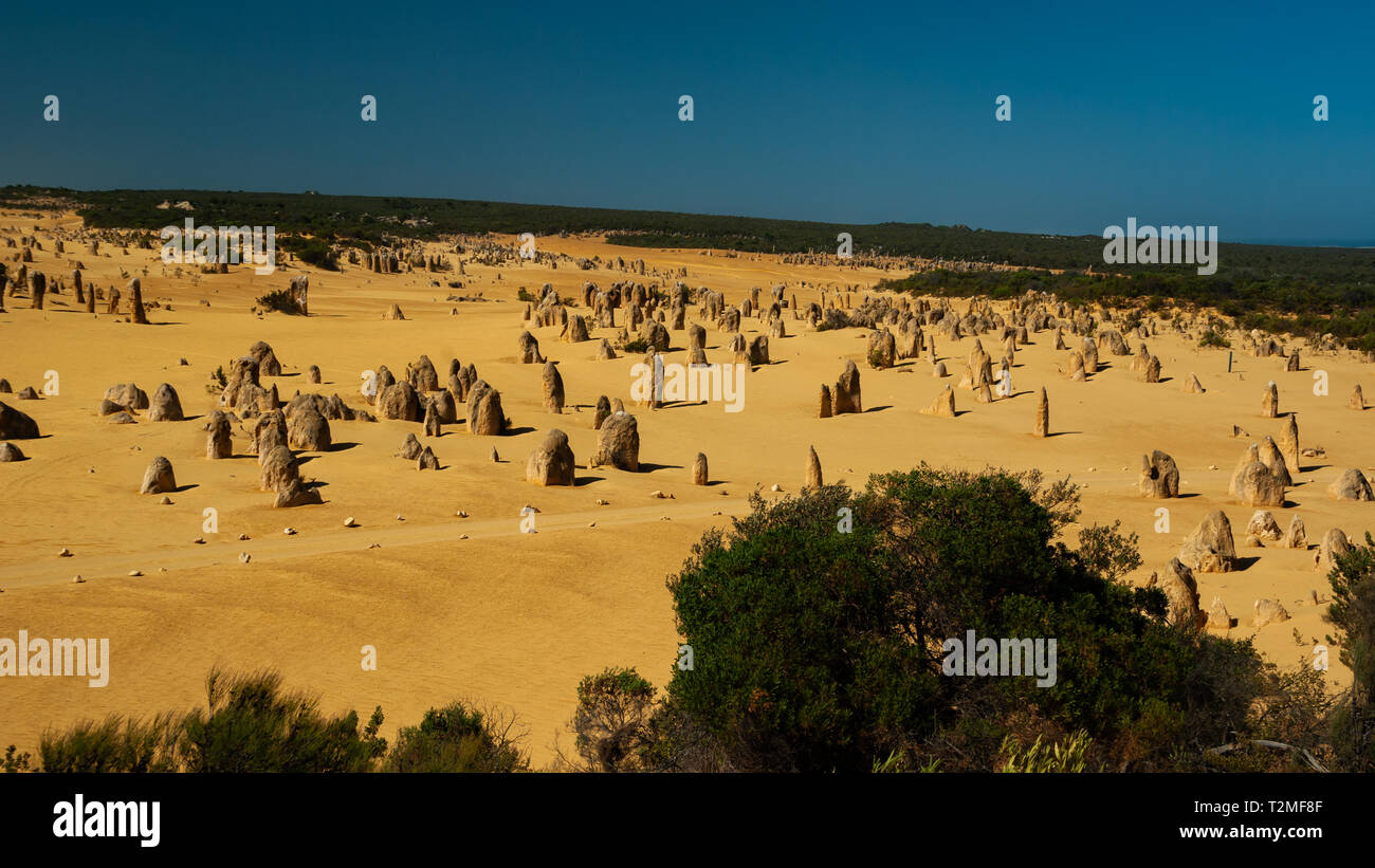 Die Pinnacles sind Kalkstein Felsen ragen aus der Wüste von Wind und Regen produziert Stockfoto