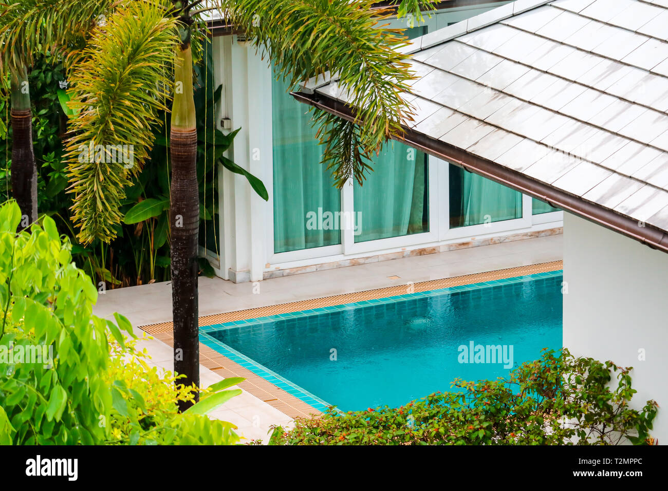 Tree In The Middle Of Swimming Pool Stockfotos Und Bilder Kaufen Alamy