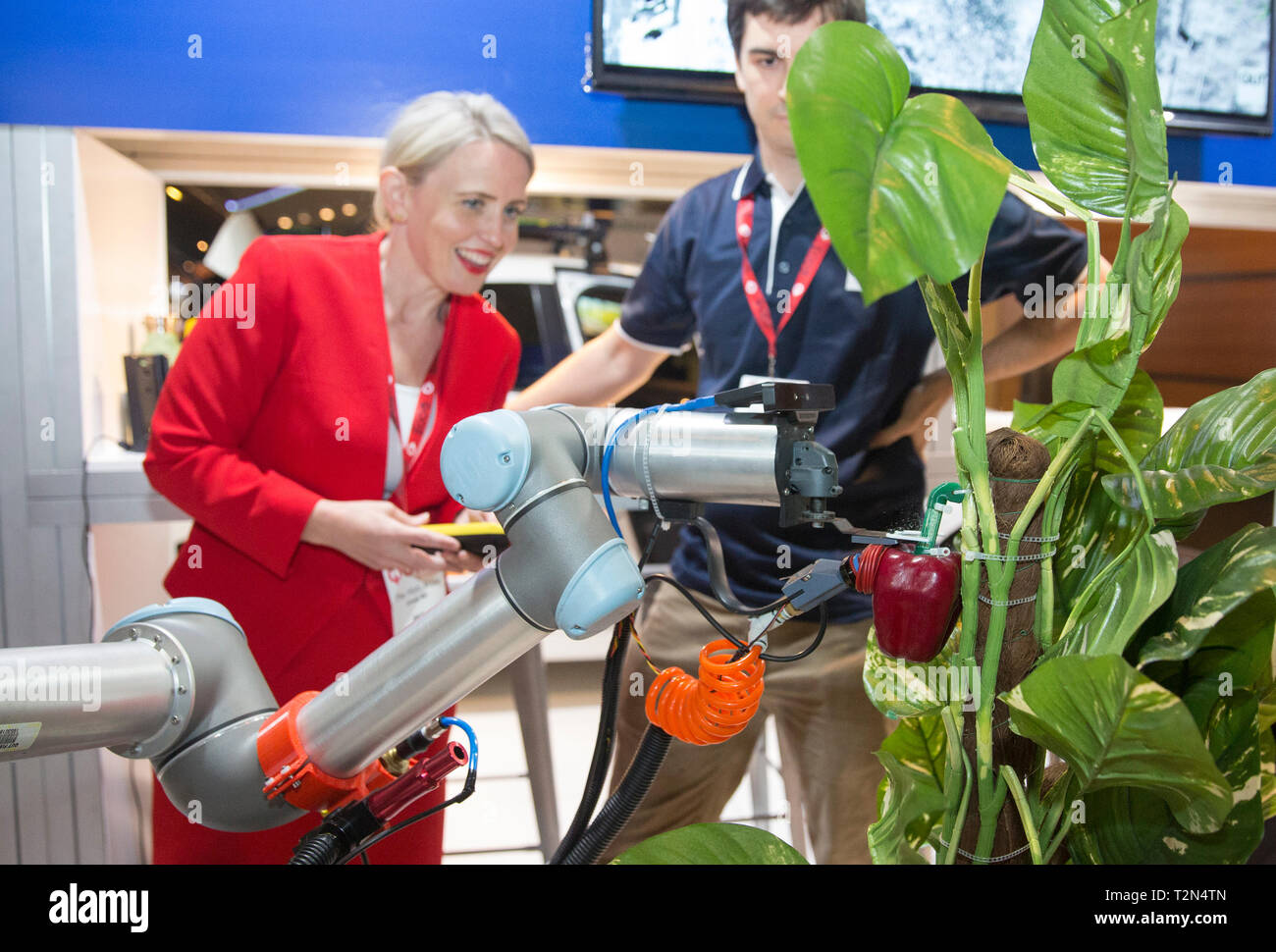 Brisbane, Australien. 2 Apr, 2019. Queensland Minister für Innovation und Tourismus Kate Jones (L) Ansichten eines Roboters an einem Stand in Qode, eine zweitägige Technikkonferenz in Brisbane im Staat Queensland, Australien, 2. April 2019. Der australischen Stadt Brisbane war Gastgeber für einige der größten Namen der Region in der neuen Technologie am Dienstag, durch Einleitung einer zweitägigen Veranstaltung Innovation und digitale Entwicklung im Staat Queensland zu funken. Credit: Bai Xuefei/Xinhua/Alamy leben Nachrichten Stockfoto