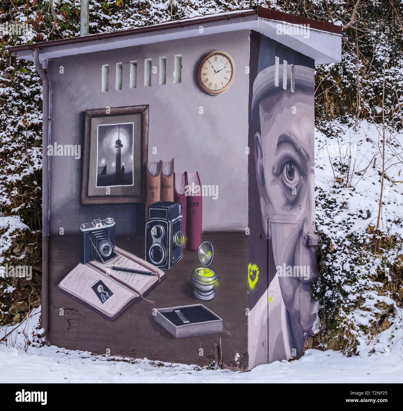 "Fotograf" Graffiti Kunst arbeiten im Wald, Winter, Kronstadt, Rumänien, EU. Stockfoto