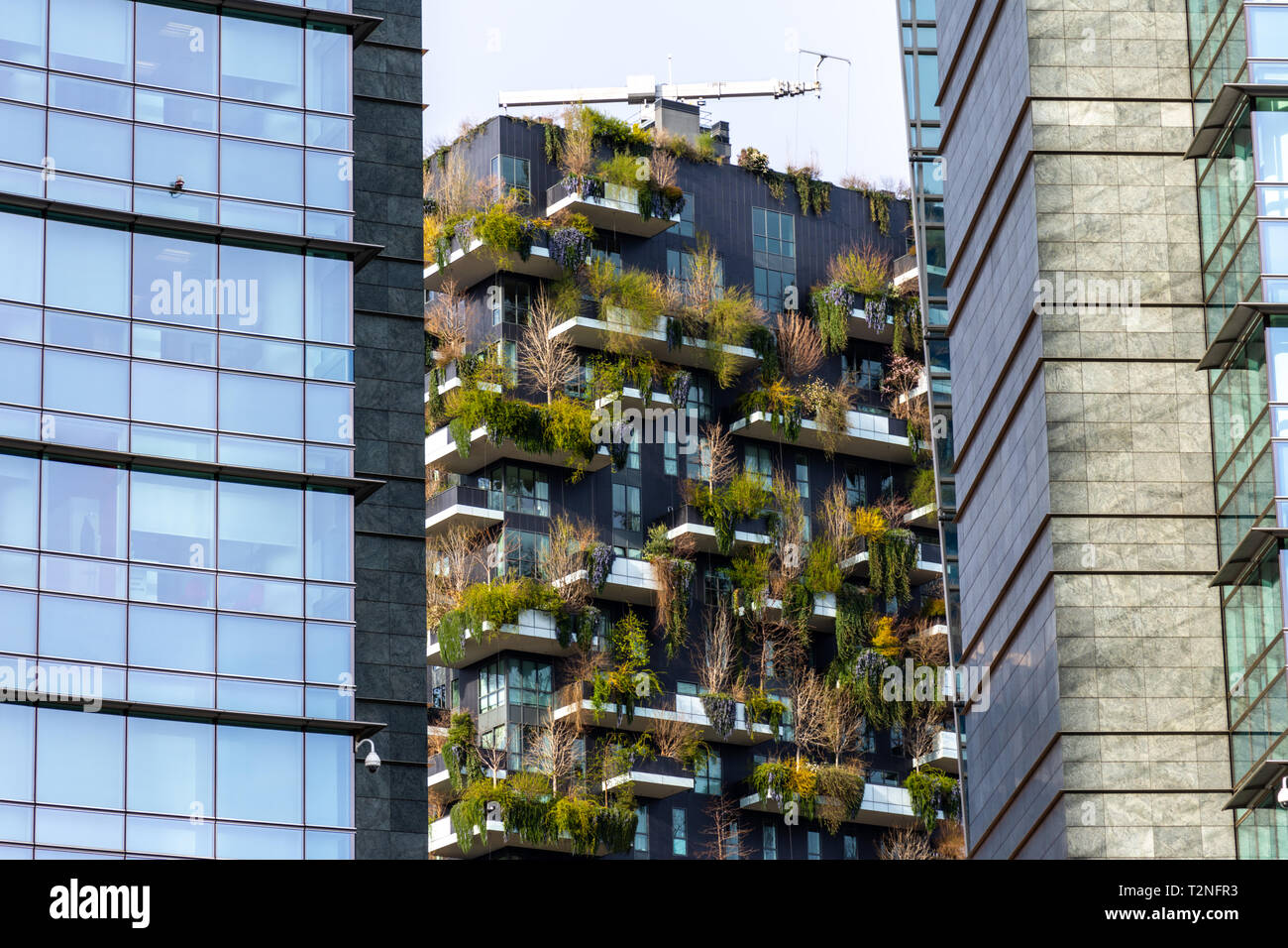 Bosco Verticale, vertikale Wald Apartment Gebäude in Porta Nuova Financial District der Stadt Mailand, Italien Stockfoto