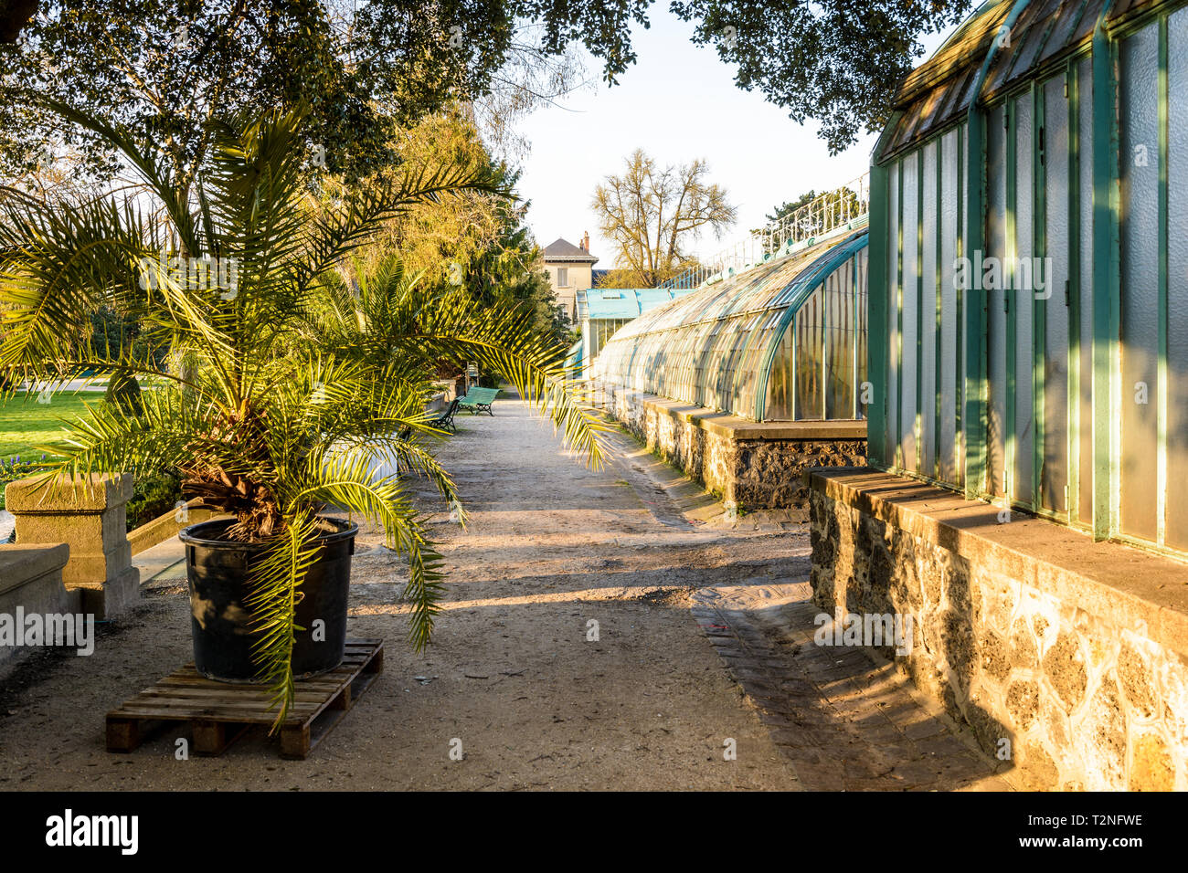 East Side Gewächshäuser im Jardin des Serres d'Auteuil, einen botanischen Garten in Paris, Frankreich. Stockfoto