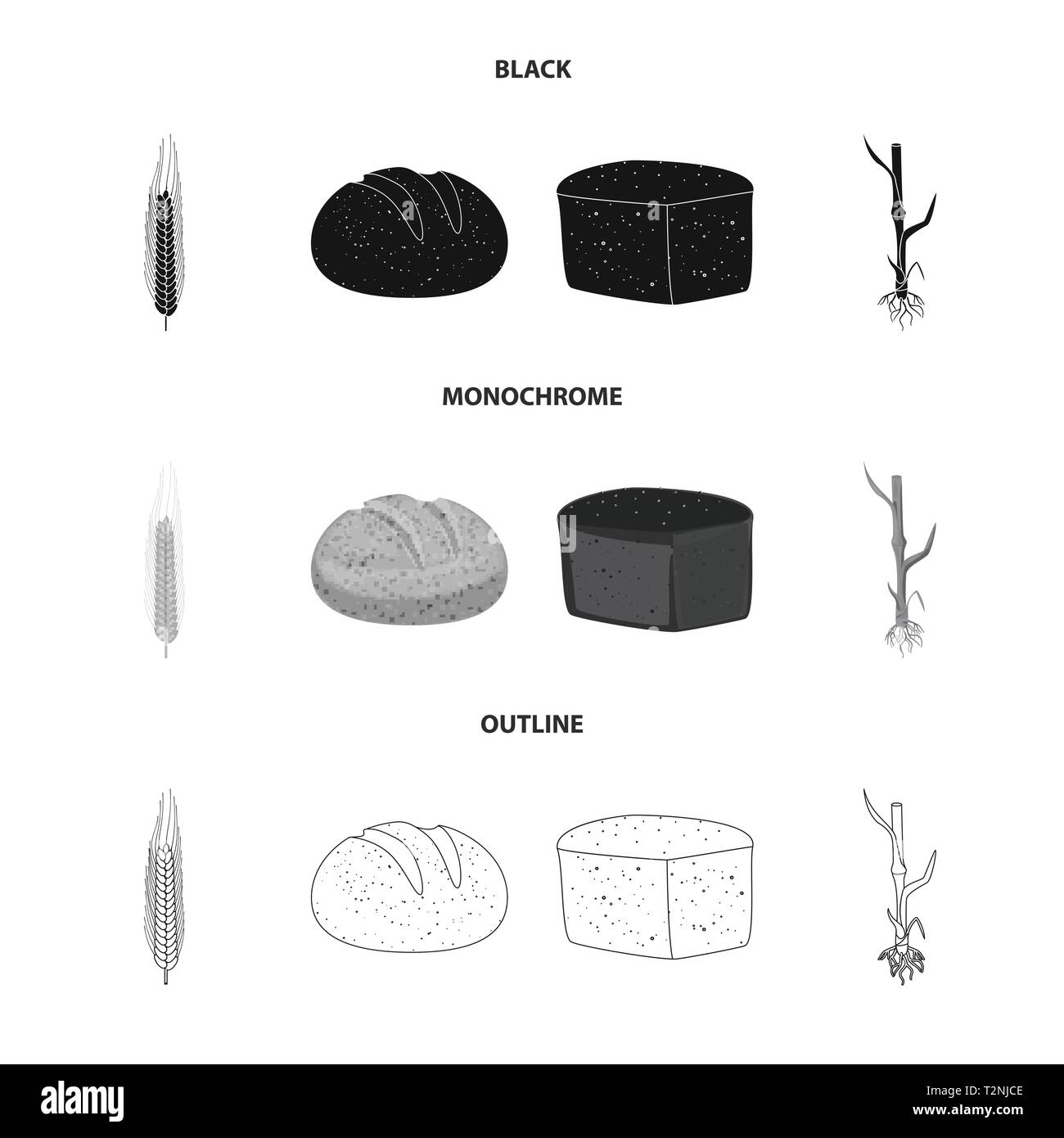 Brot, Stammzellen, Winter, root, Feder, Braun, Spike, Lebensmittel, Boden, Hartweizen, Frühstück, gesund, Saatgut, Erntegut, Brötchen, Kohlenhydrat, Wachsen, Maisfeld, Laib, Zyklus, Stroh, Wachstum, Wiese, Snack, Mehl, Blätter, ländlichen, Backen, Grün, Landwirtschaft, Landwirtschaft, Roggen, Weizen, Mais, Getreide, Ernte, Bauernhof, Feld, Set, Vector, Icon, Illustration, isoliert, Sammlung, Design, Element, Grafik, Vektor, Vektoren, Stock Vektor