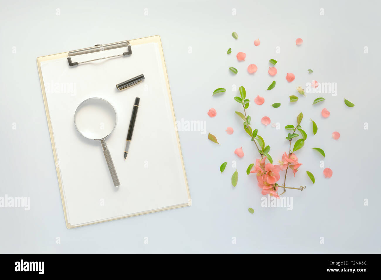 Leeres Papier auf Clipboard Notizblock mit Blumenschmuck, flach Mock up Kopie Platz für Frühling Saison Stockfoto