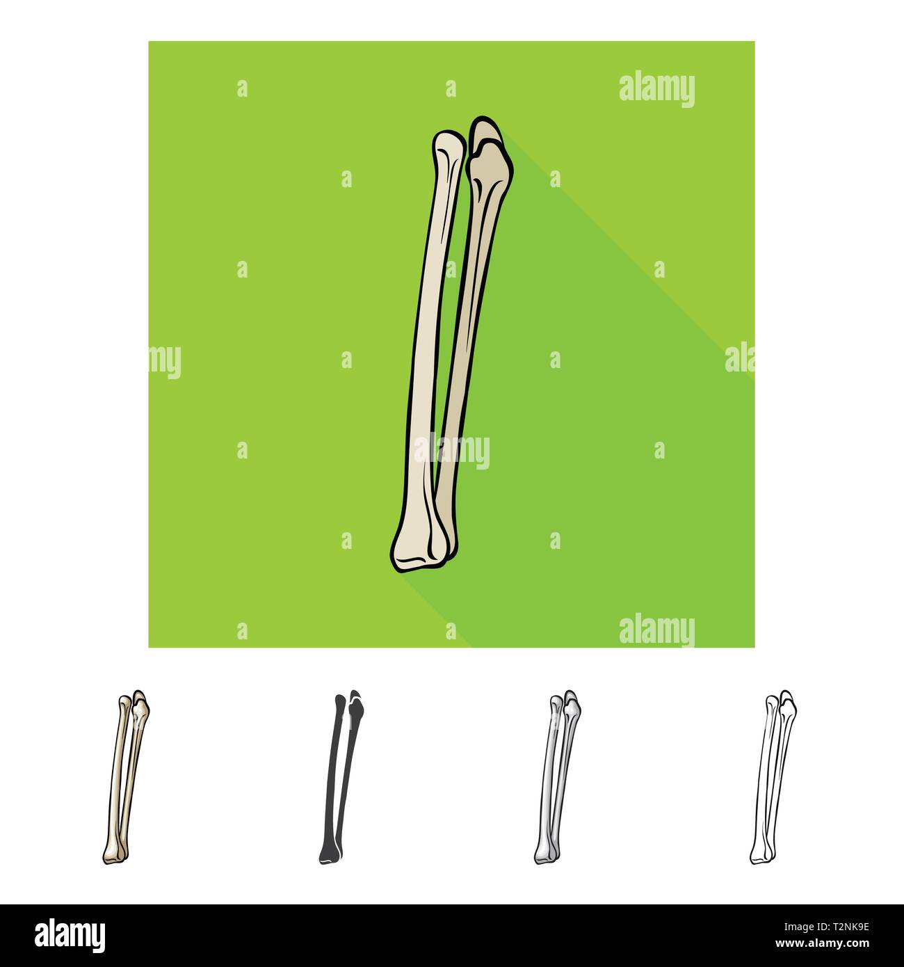 Oberschenkel, Beine, Knie, Schienbein, Wadenbein, Ausrichtung, Kalzium