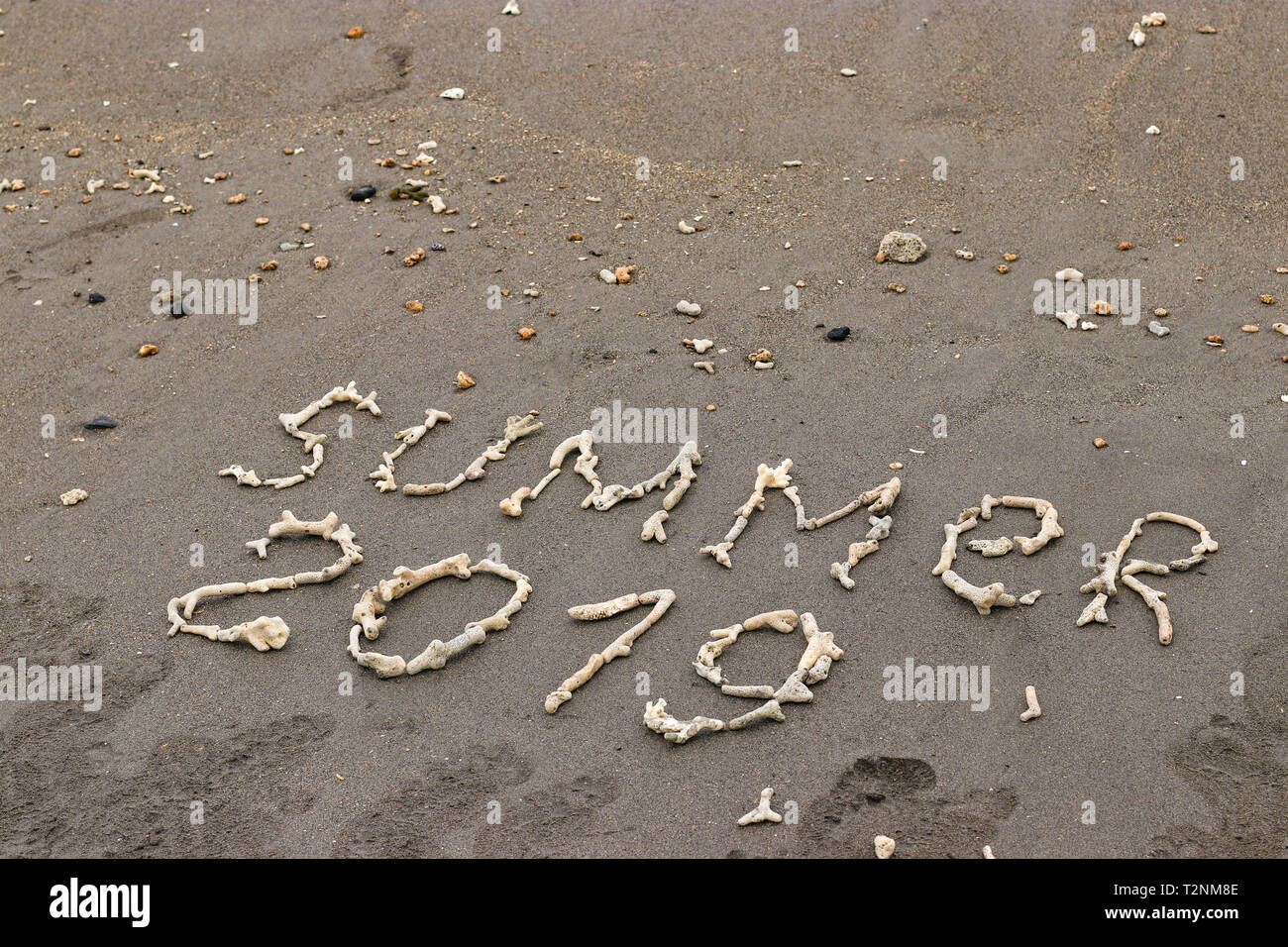 Die Inschrift auf dem Sand aus der Korallen, Sommer 2019 Travel Concept, mit Platz für Text kopieren Stockfoto