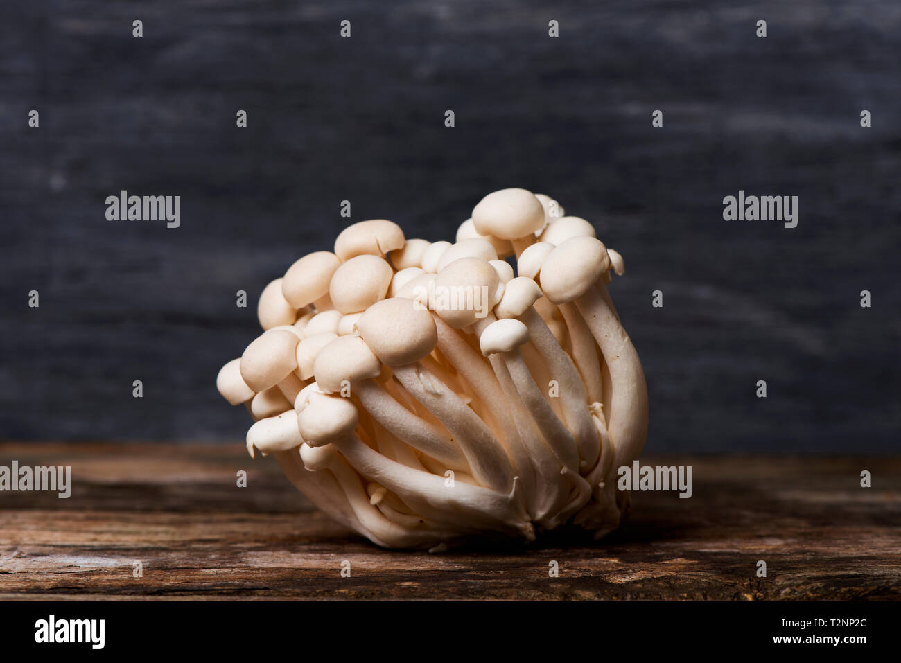 Auch die Nahaufnahme eines Bündels von Raw japanische bunapi - shimeji Pilze, wie Buche oder weiß Greifer Pilze bekannt, auf einem rustikalen Holztisch Stockfoto