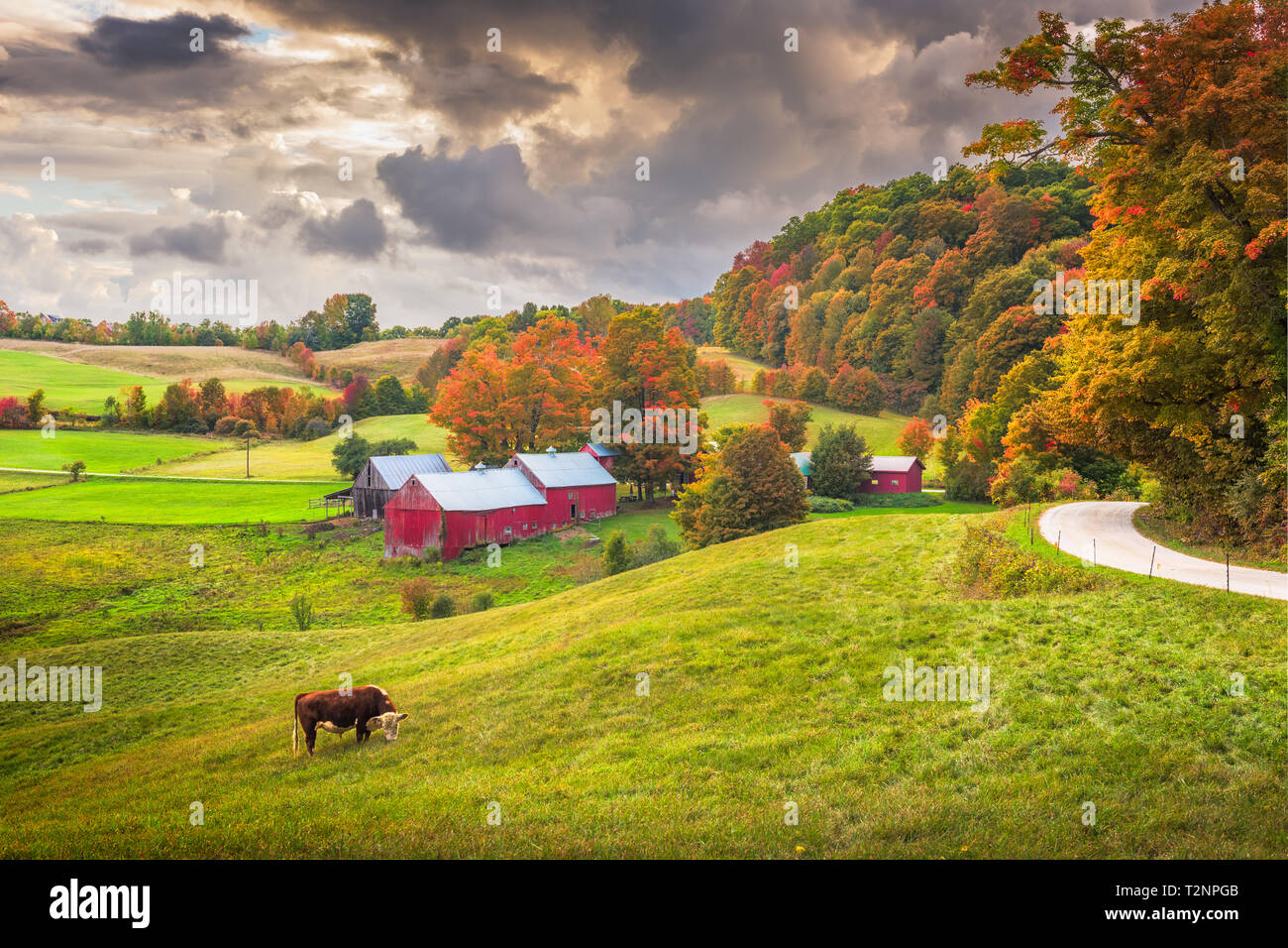 Lesen, Vermont, USA ländlichen Bauernhof Szene in der Abenddämmerung. Stockfoto