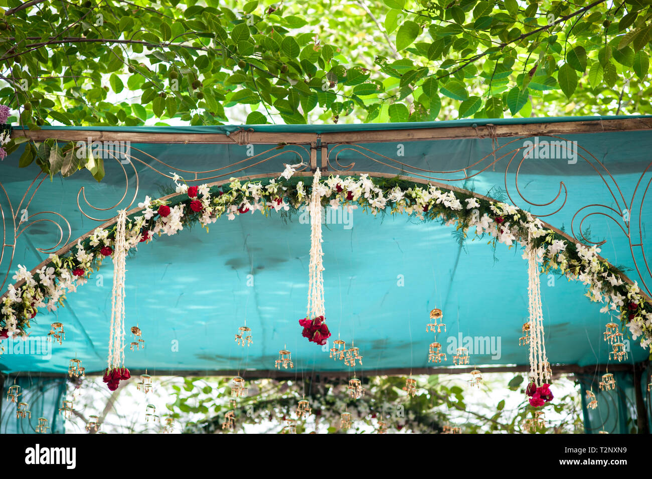 Licht durch die Bäume beleuchtet ein Vordach an einer Hochzeit in Indien Stockfoto