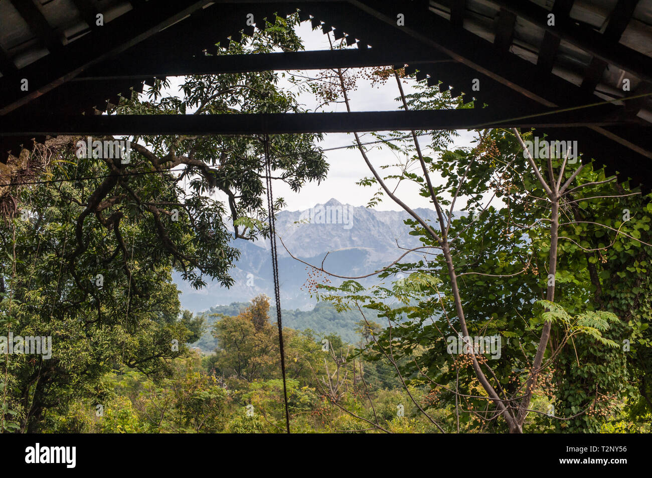 Blick auf die Berge rund um Dharamsala, aus einem Haus im Dschungel. Stockfoto