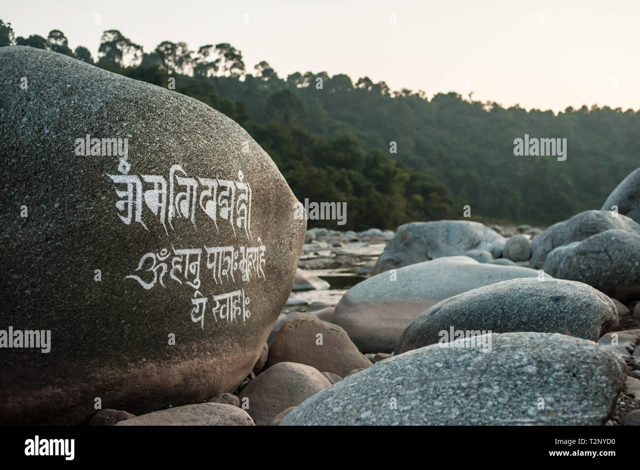 Eine tibetische Mantra ist auf einem riesigen Felsblock in einem Flussbett geschnitzt, unter Dharamshala, Indien: Die Heimat im Exil des Dalai Lama und Tausende von Tibetern. Stockfoto