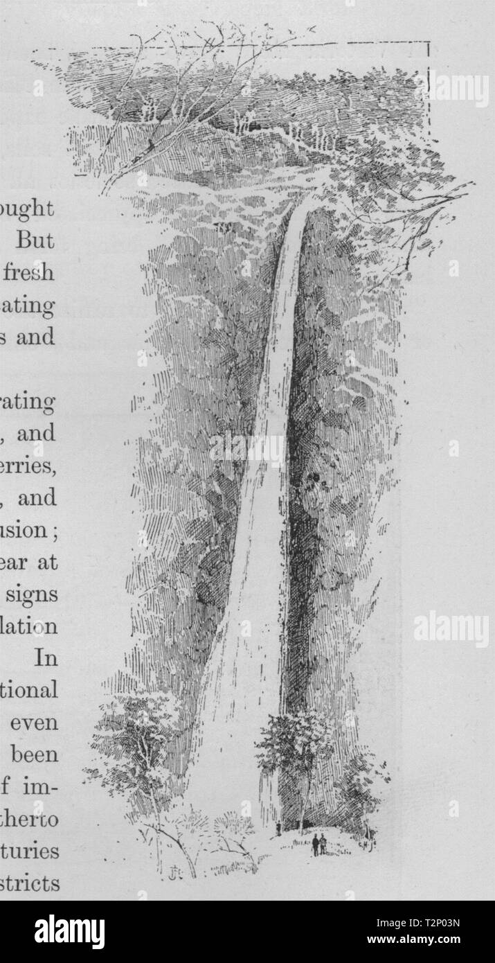 Die Dangar Falls. Australien 1890 alte antike vintage Bild drucken Stockfoto