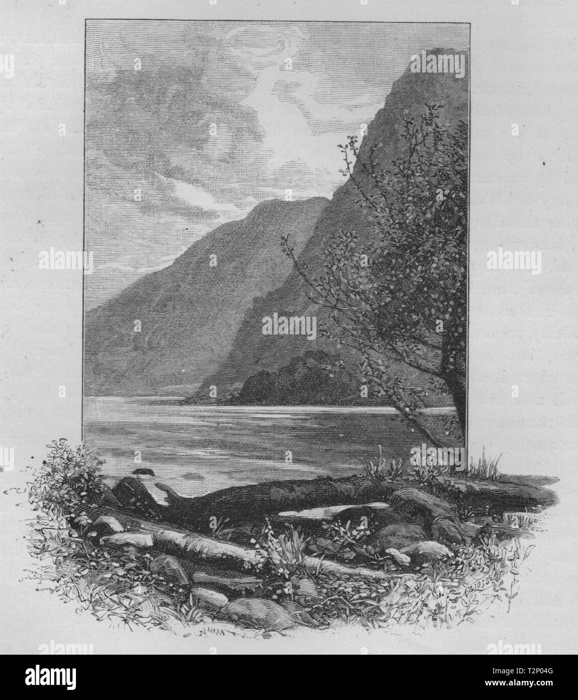 Ein weiterer Blick auf nasse Jacke Arm. Die Westküste Sounds. Neuseeland 1890 Drucken Stockfoto