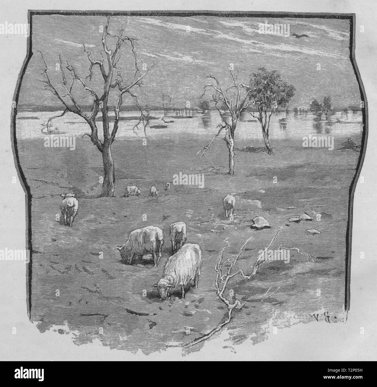 Ein weiterer Mirage Wirkung. Australien 1890 alte antike vintage Bild drucken Stockfoto