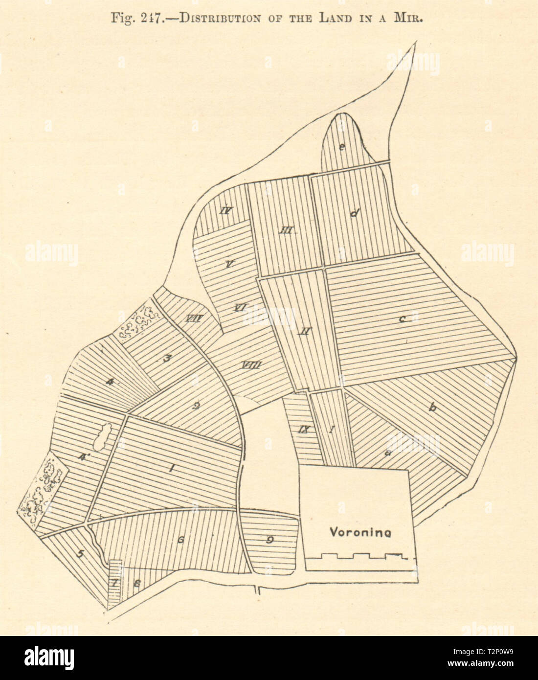 Die Verteilung des Landes in einem Mir/Obshchina/Kommune. Russland. Kartenskizze 1885 Stockfoto