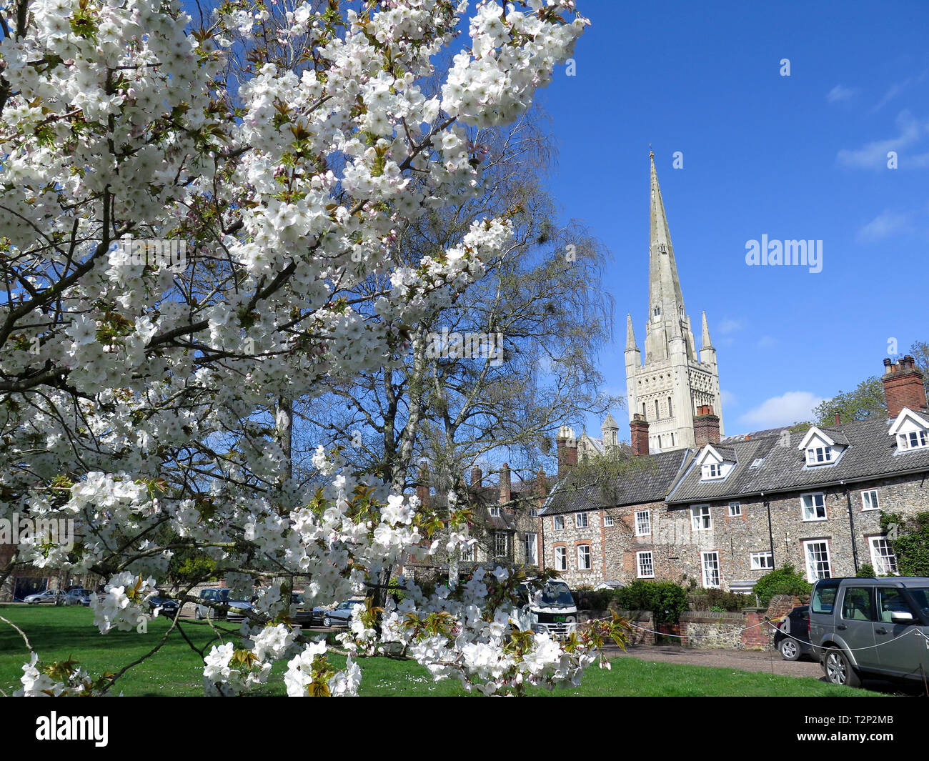 Norwich Cathedral Stockfoto