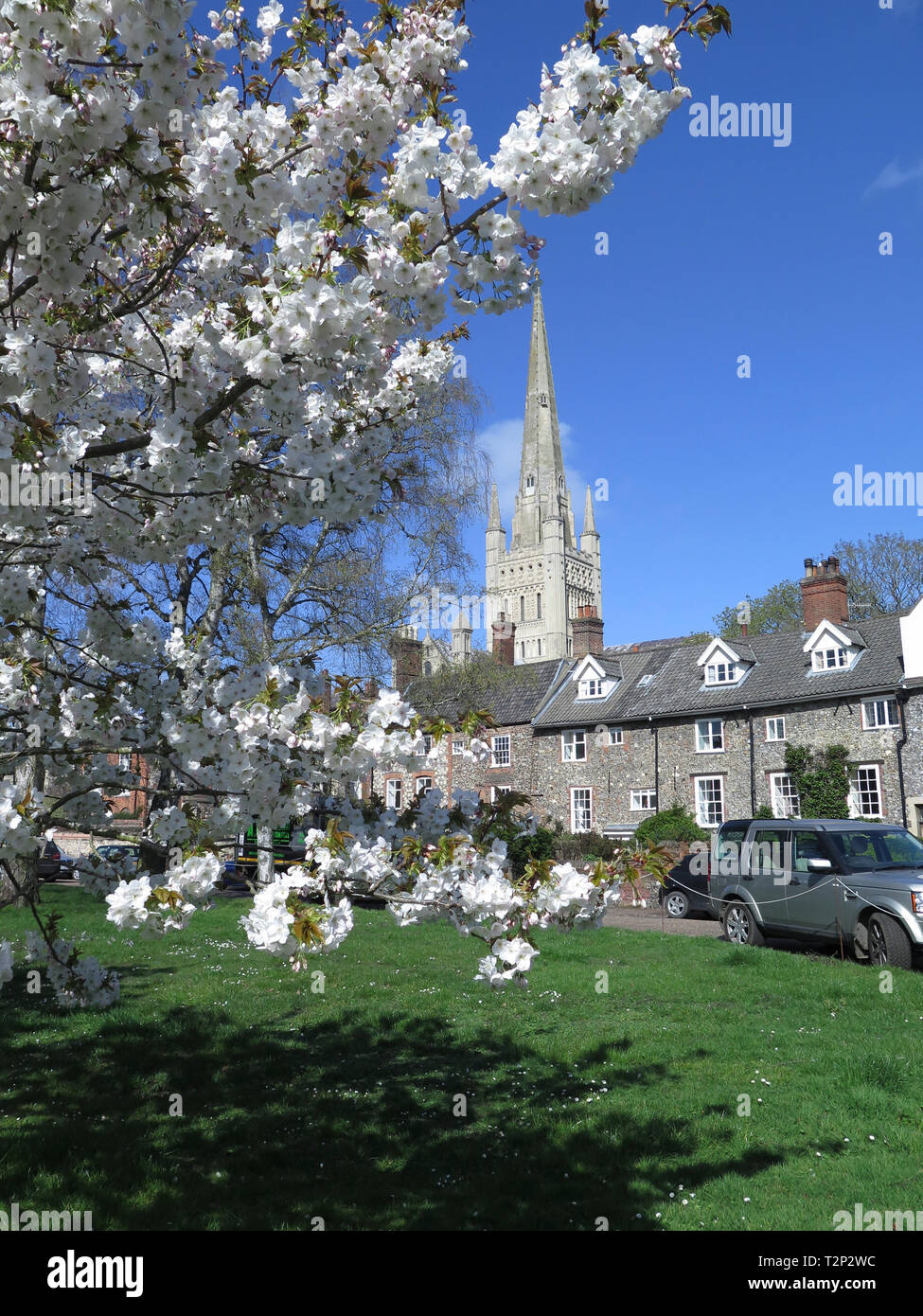 Norwich Cathedral Stockfoto
