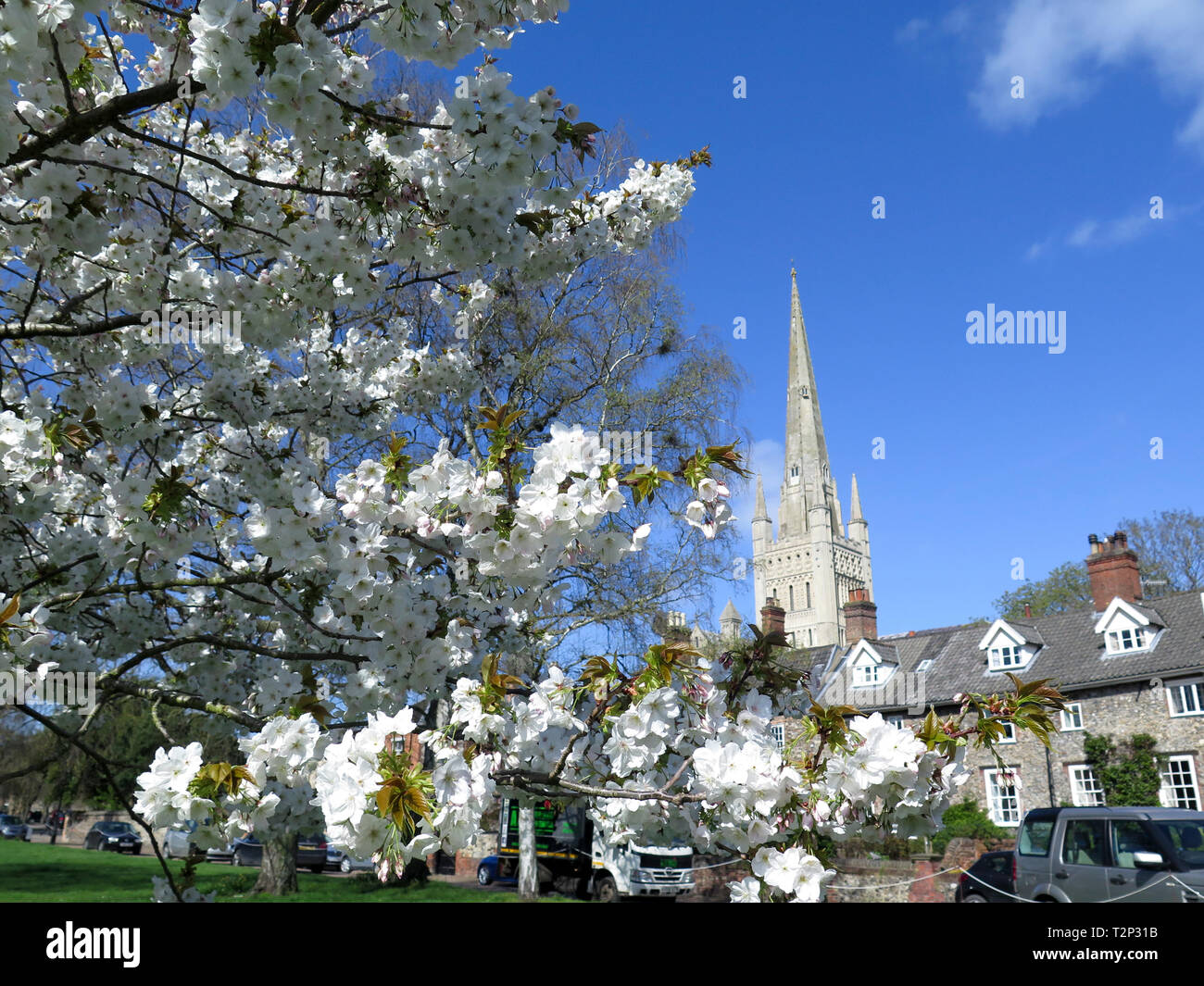 Norwich Cathedral Stockfoto