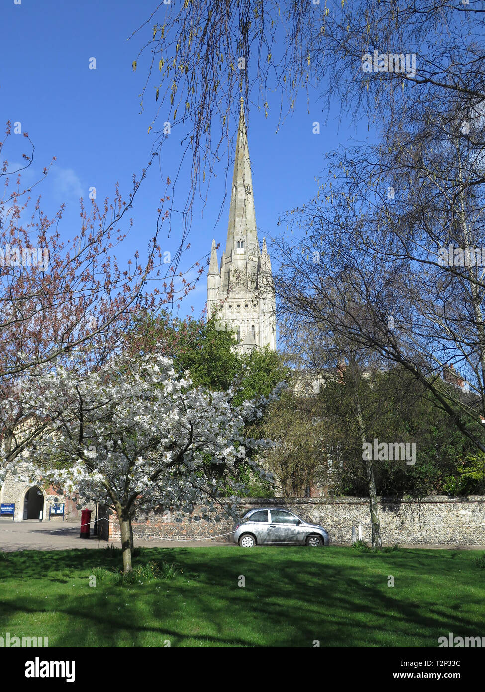 Norwich Cathedral Stockfoto