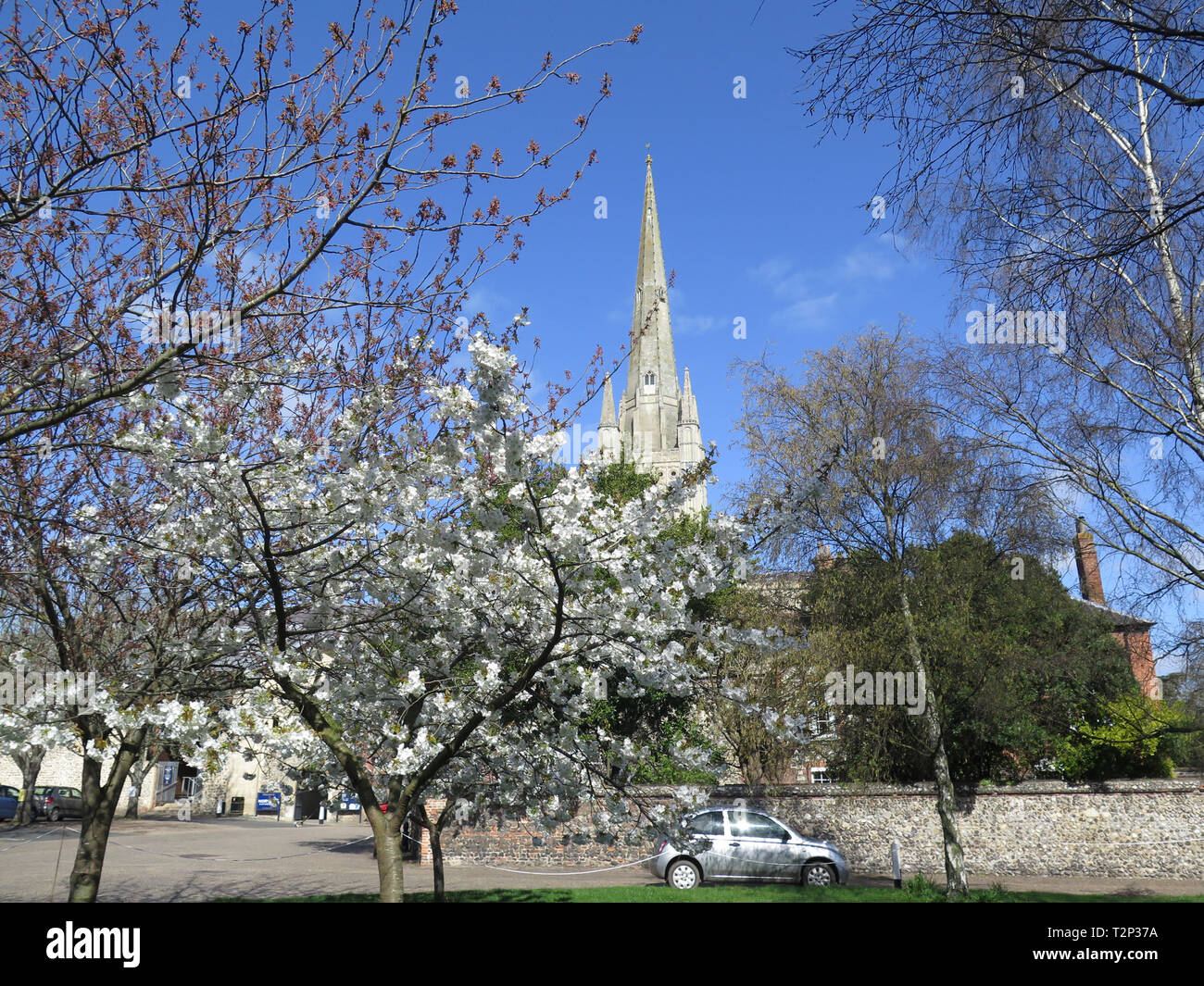 Norwich Cathedral Stockfoto
