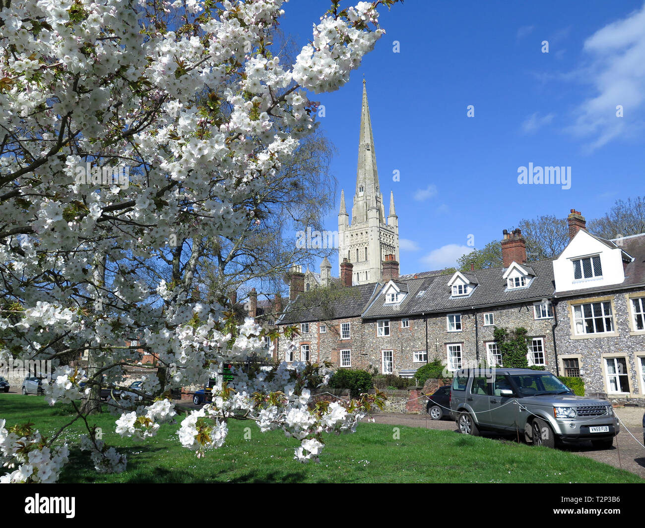 Norwich Cathedral Stockfoto