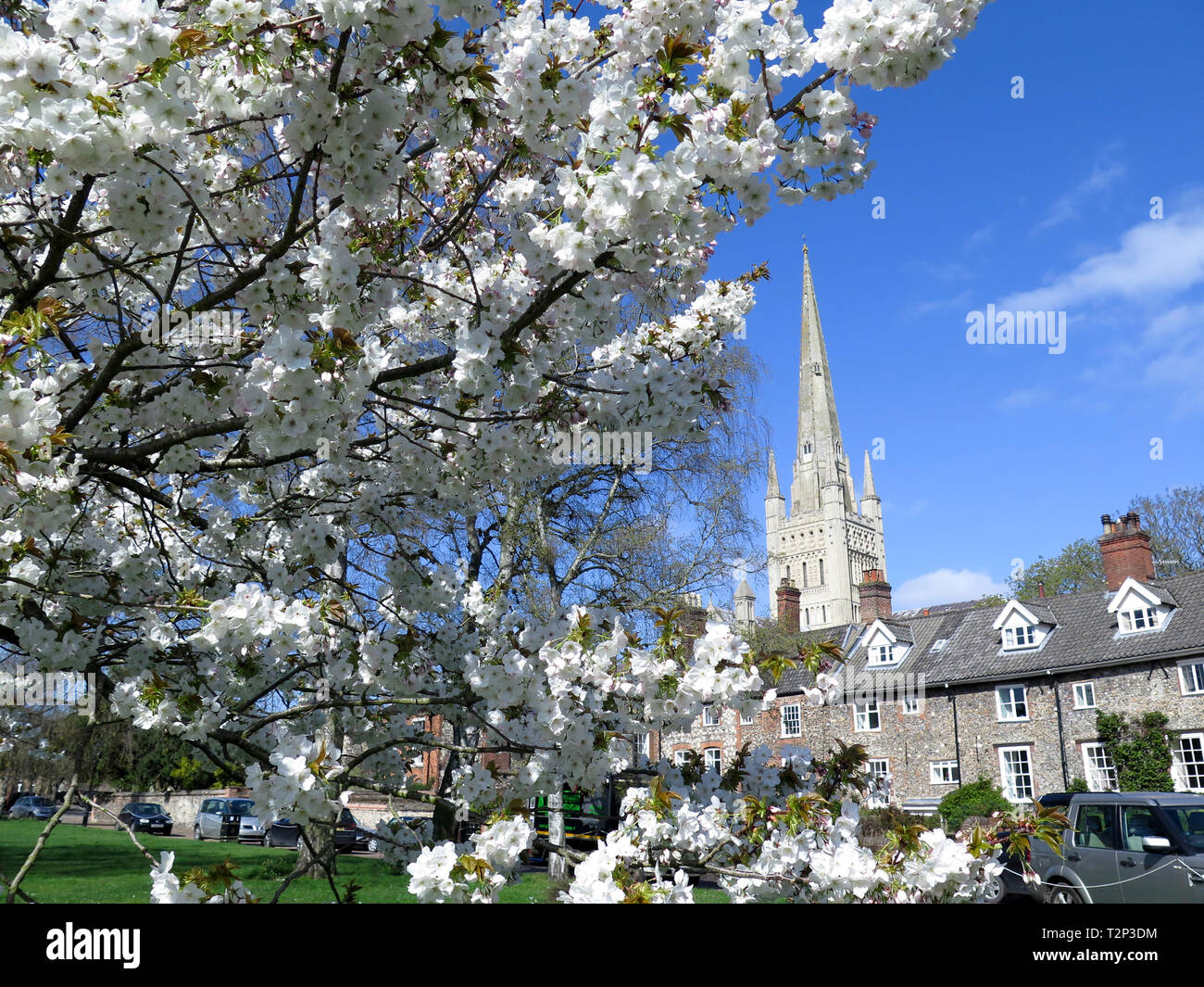 Norwich Cathedral Stockfoto