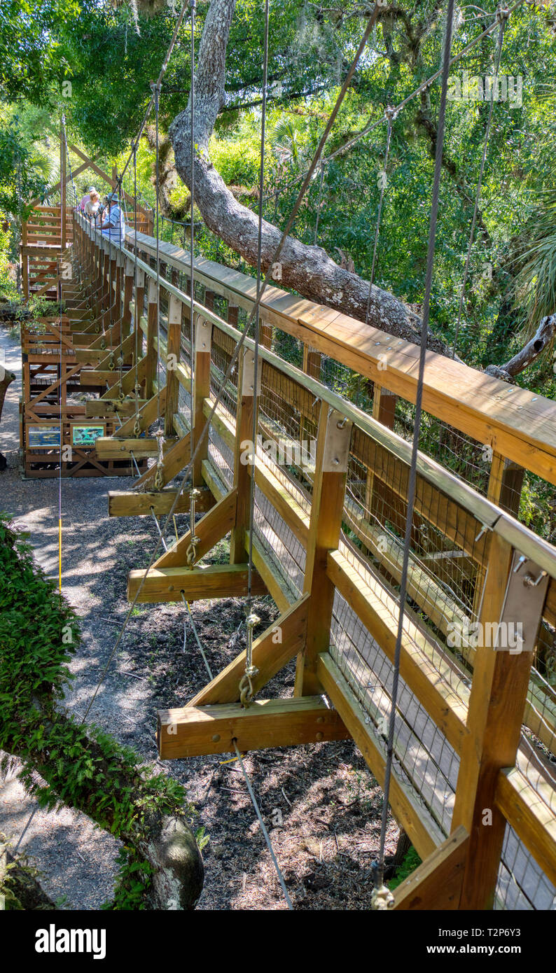 Canopy Walk Suspension Bridge Touristenattraktion in Myakka River State Park in Sarasota Florida, baum, bäume Stockfoto