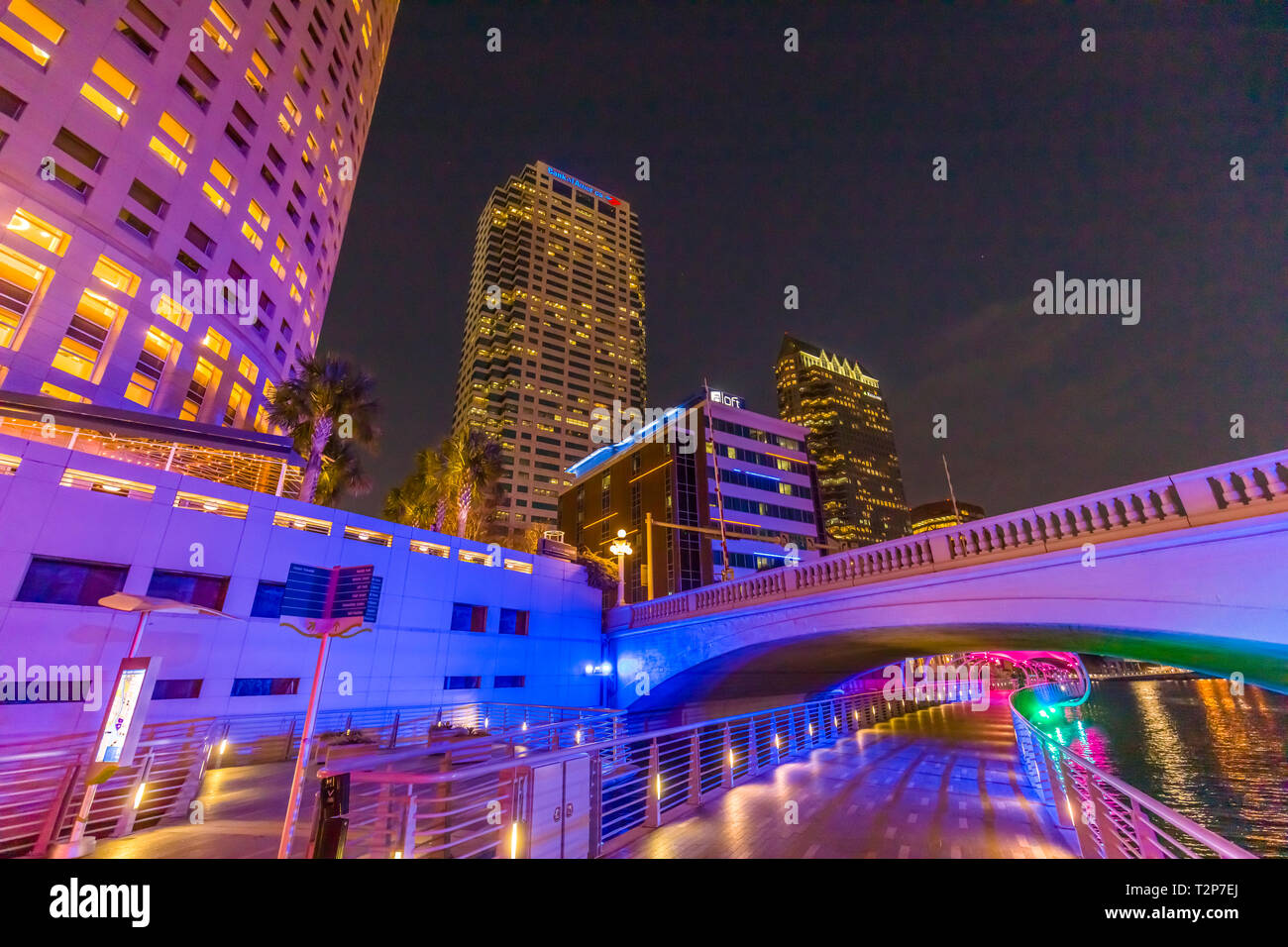 Die Innenstadt von Tampa Florida Gebäude beleuchtet in der Nacht mit bunten Lichtern als vom Tampa Riverwalk gesehen Stockfoto