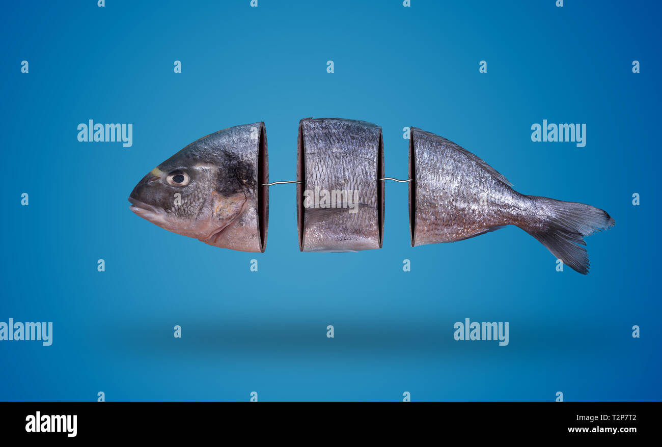 Fisch Dorade mit Draht als ein Konzept der Umweltverschmutzung und nicht gutes Essen getrennt Stockfoto