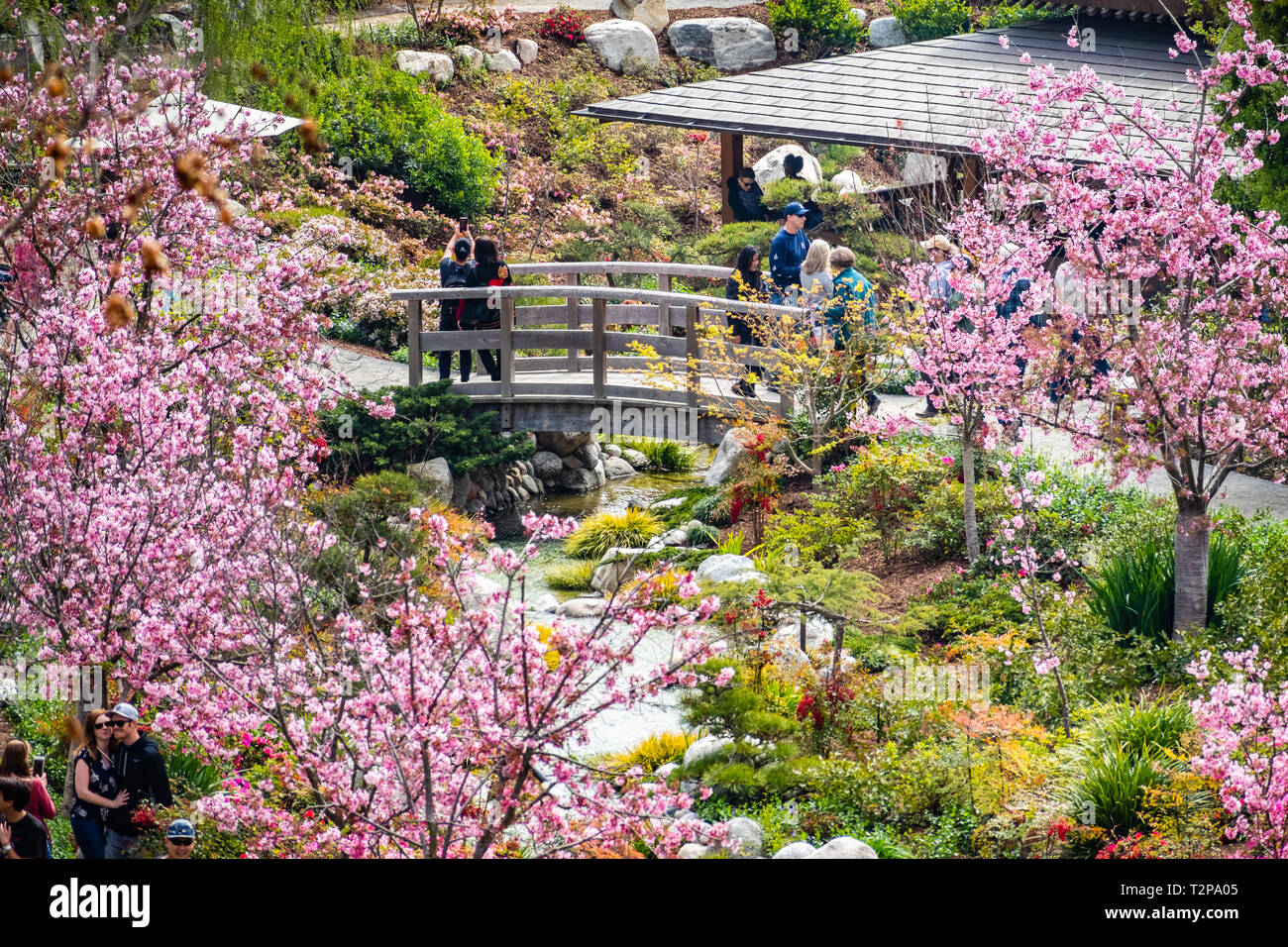 Japanese Garden San Diego California Stockfotos Japanese Garden