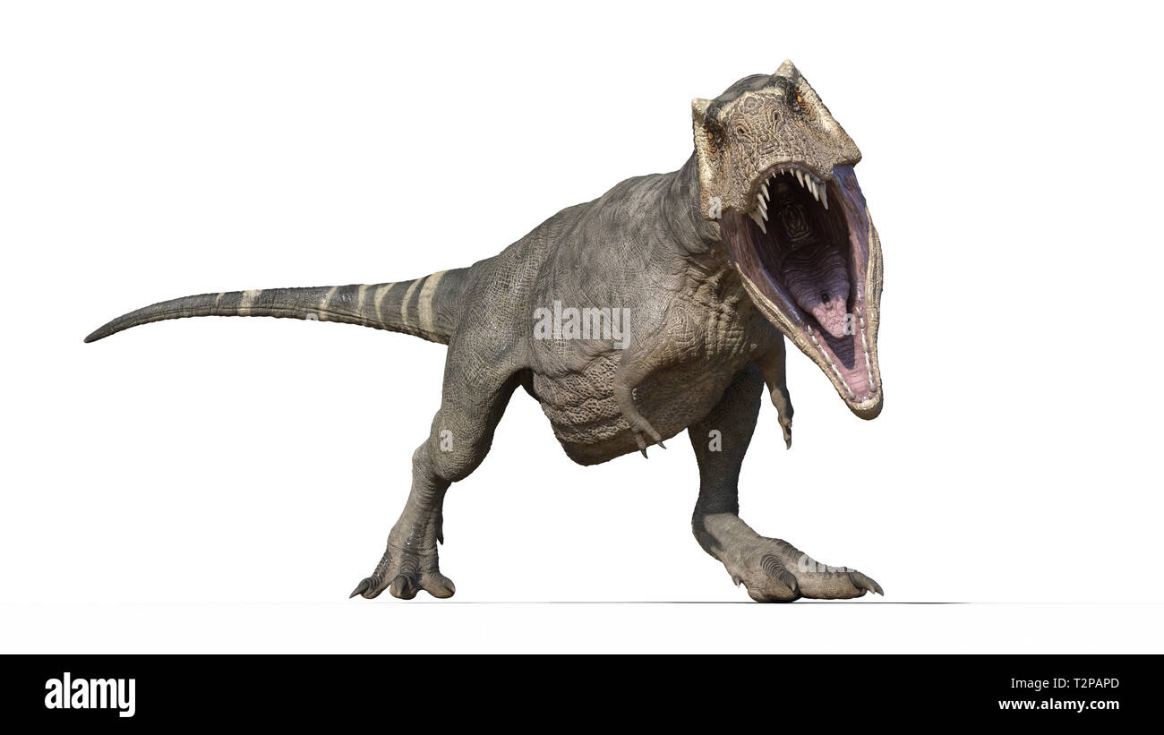 T-Rex Dinosaurier, Tyrannosaurus Rex Reptile, prähistorische Jurassic tierischen Brüllen auf weißem Hintergrund, Vorderansicht, 3D-Darstellung Stockfoto