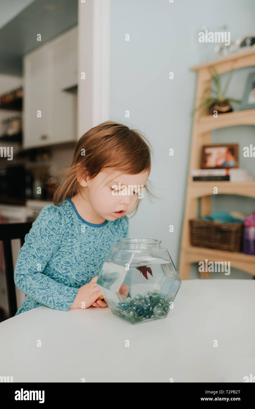 Weibliche toddler Peering-punkte bei Goldfish Bowl auf Tisch Stockfoto