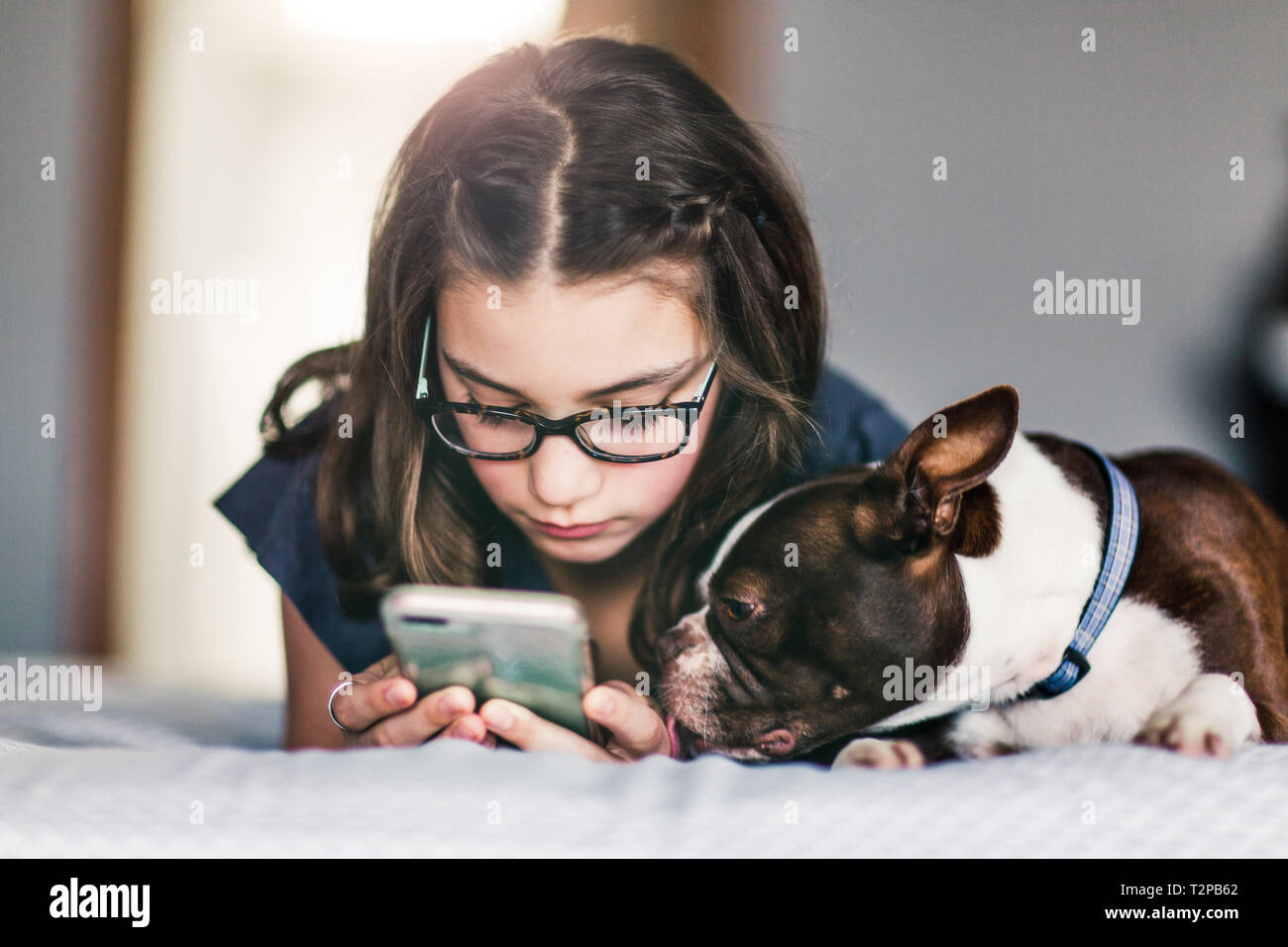 Mädchen mit Smartphone neben Hund auf dem Bett Stockfoto