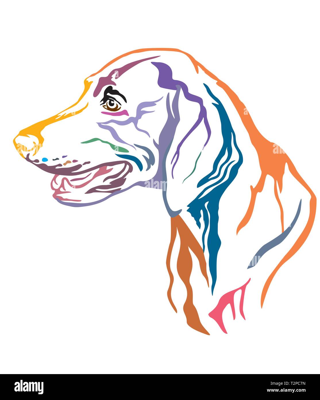 Bunt dekorativ Umrisse Portrait von weimaraner Hund suchen im Profil, Vector Illustration in verschiedenen Farben auf weißem Hintergrund. Bild Stock Vektor
