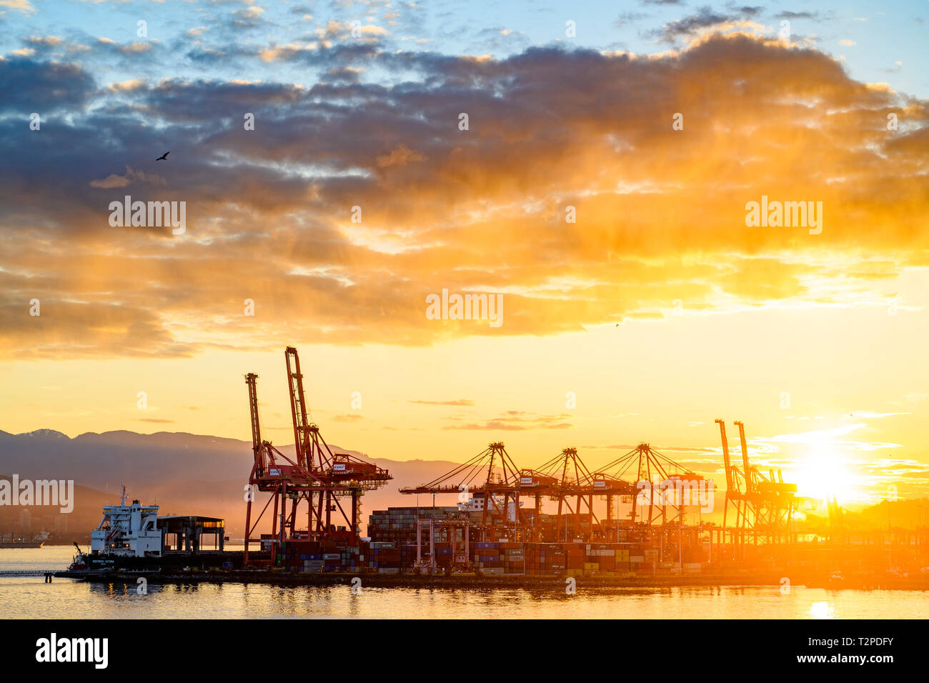 Shipping Container Terminal, der Hafen von Vancouver, British Columbia, Kanada Stockfoto