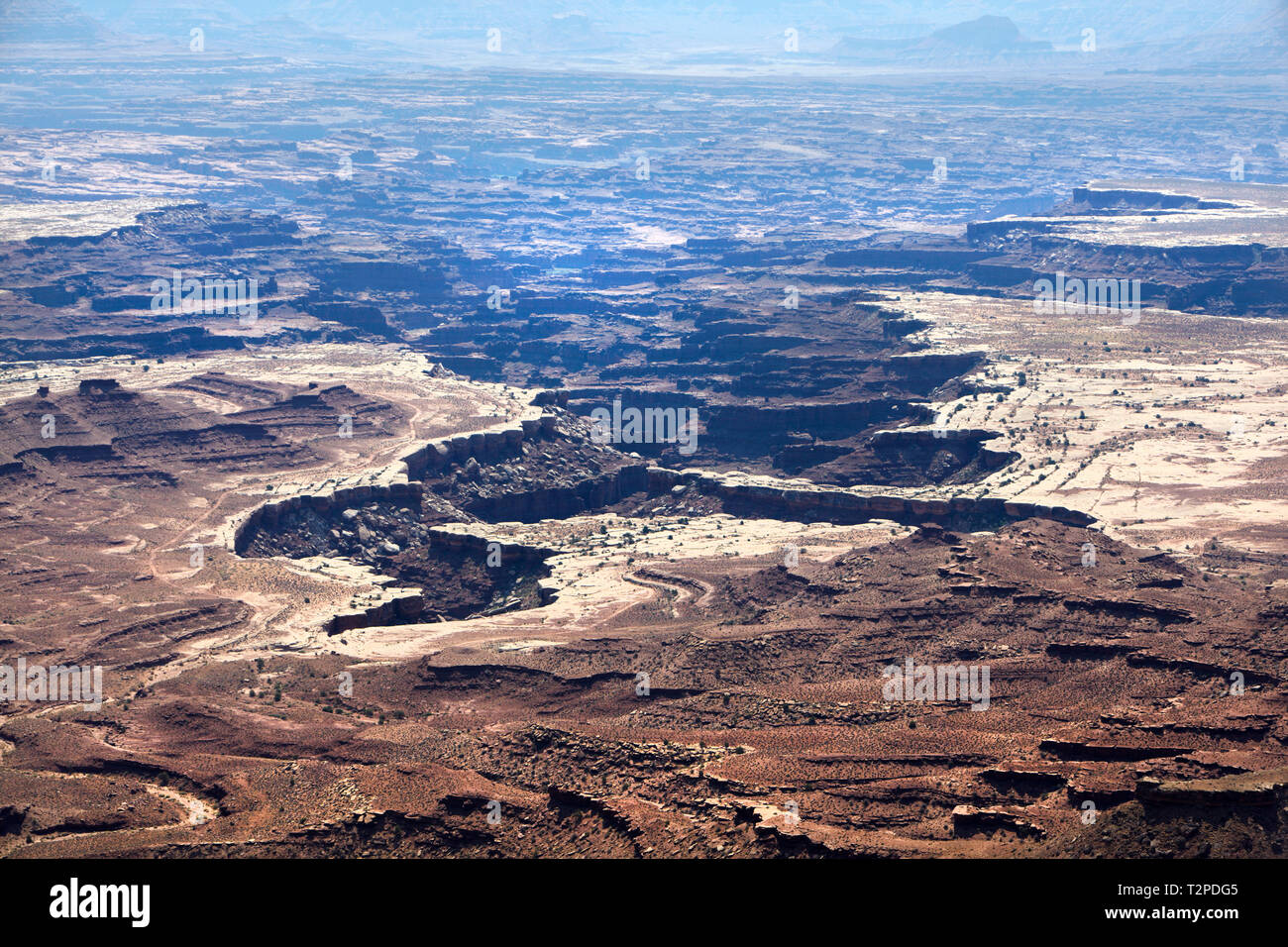 White Rim Trail, Canyonlands, Utah, Amerika. Stockfoto