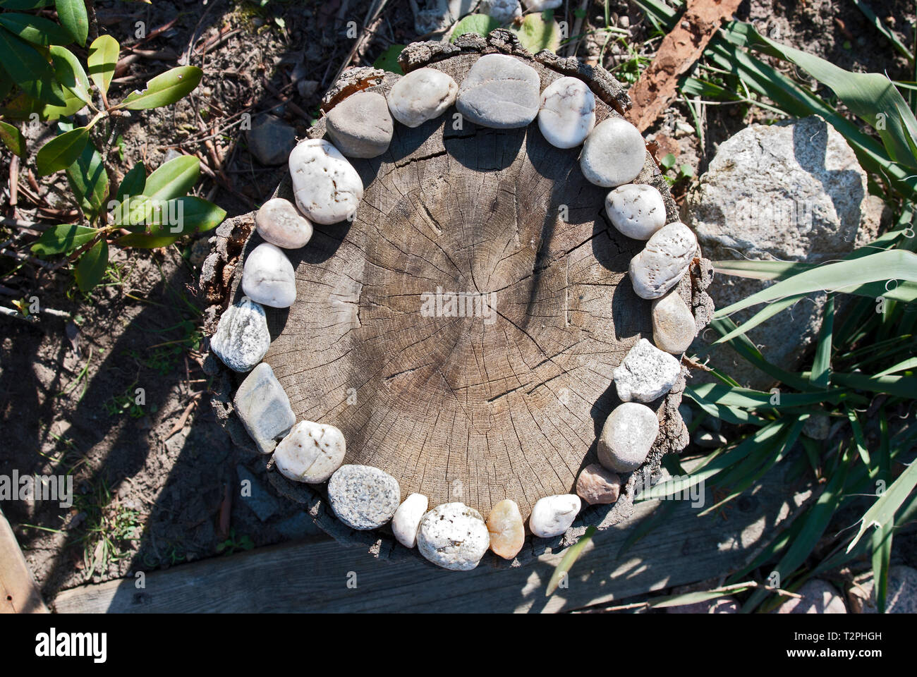 Steine auf dem Stamm Stockfoto