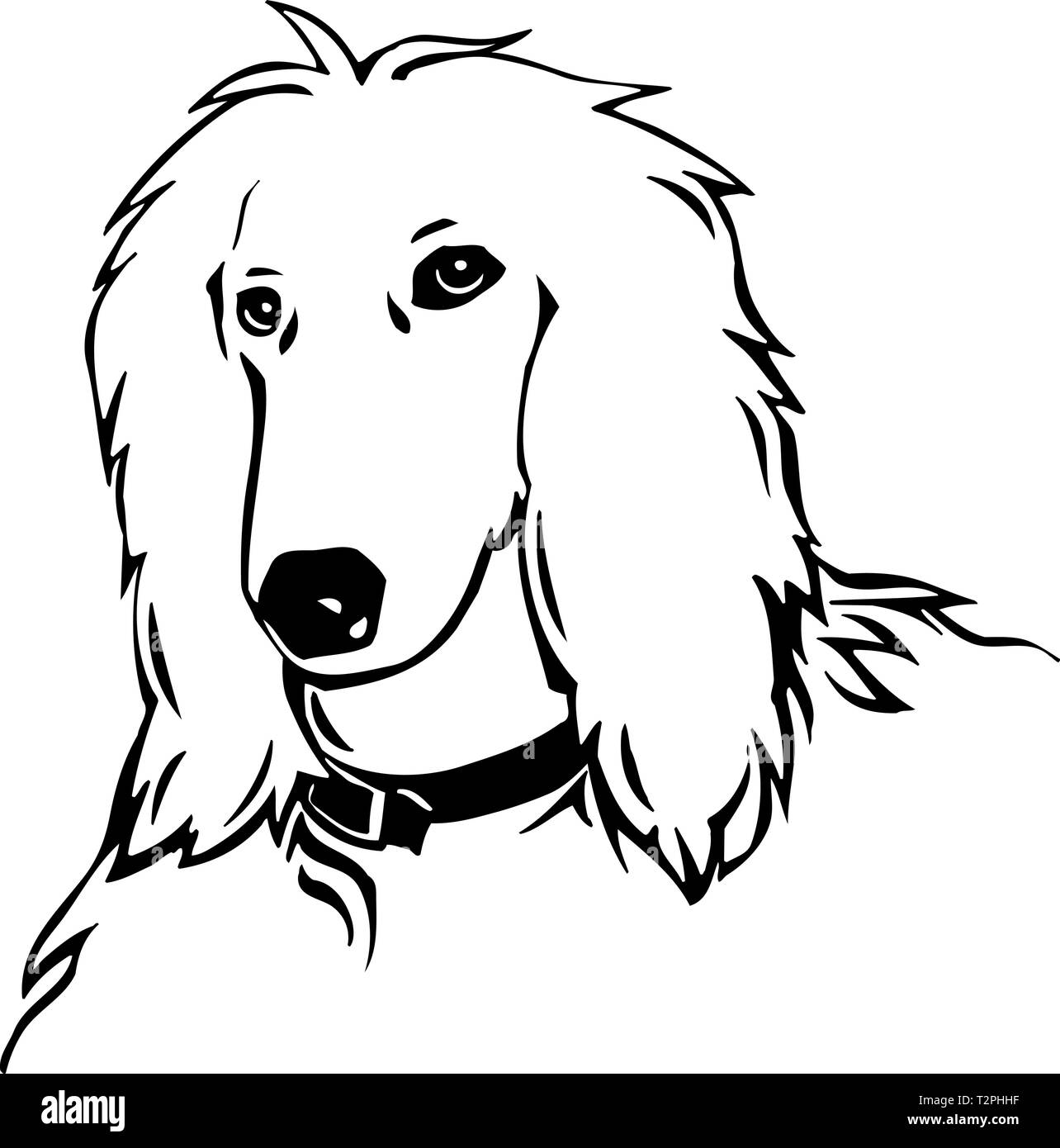Afghan Hound Abbildung Stock Vektor