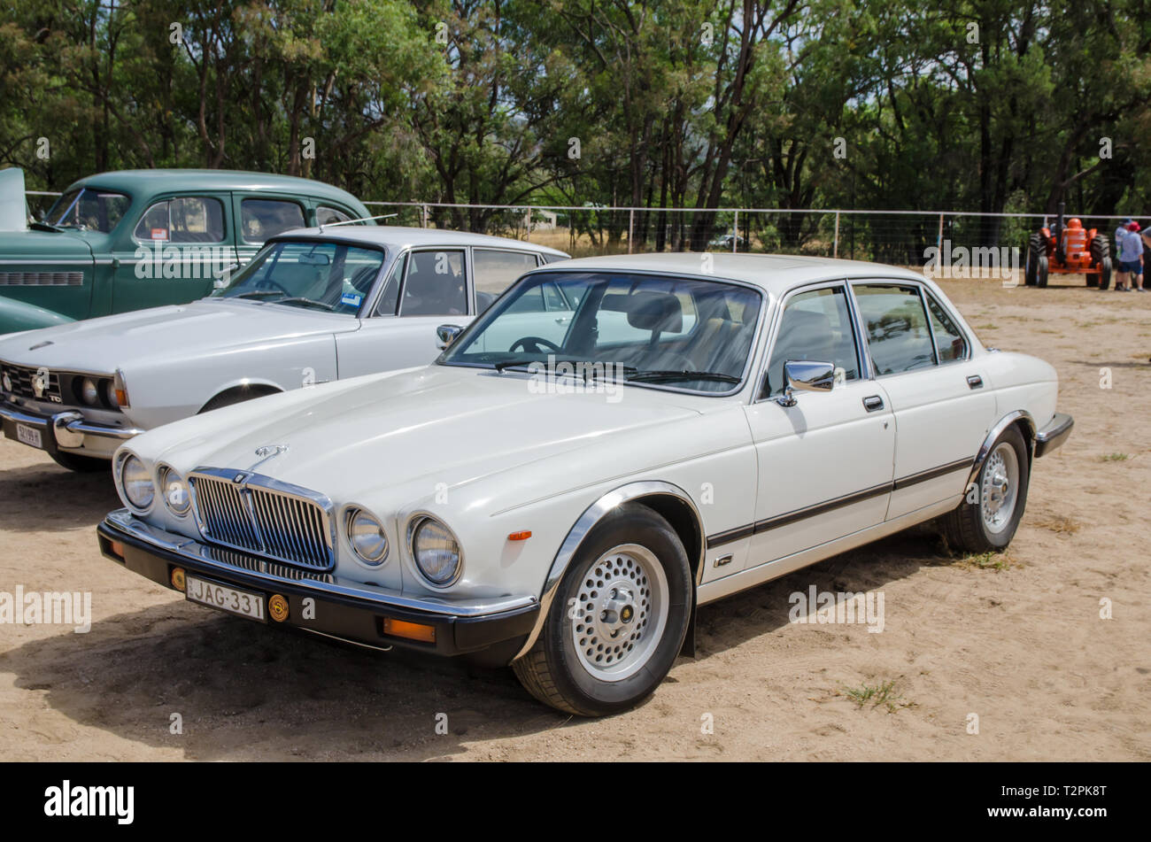 1985 Jaguar XJ6 Serie 3, 4.2 Liter souverän. Auf Anzeige an Moonbi in der Nähe von Tamworth Australien. Stockfoto