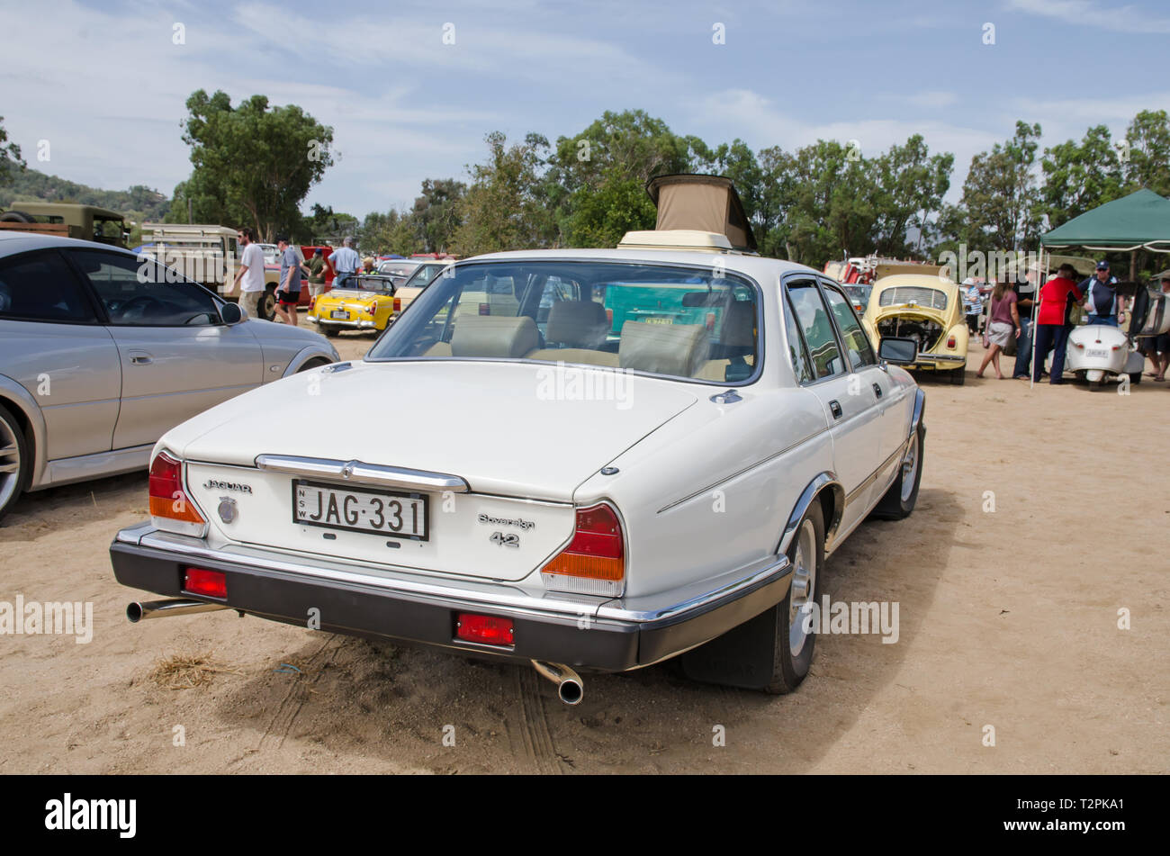 1985 Jaguar XJ6 Serie 3, 4.2 Liter souverän. Auf Anzeige an Moonbi in der Nähe von Tamworth Australien. Stockfoto