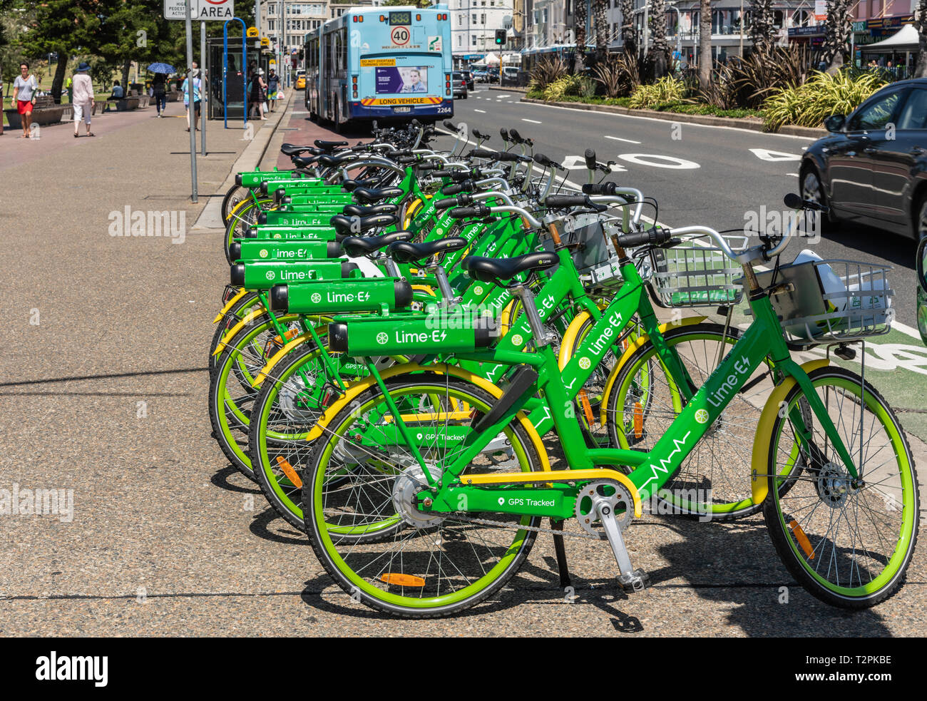 Sydney, Australien - 11. Februar 2019: Leitung von Grün und Gelb Lime E-Fahrräder, die auf dem Bürgersteig der Straße angrenzenden Bondi Beach stationiert. Leute, Bus und c Stockfoto